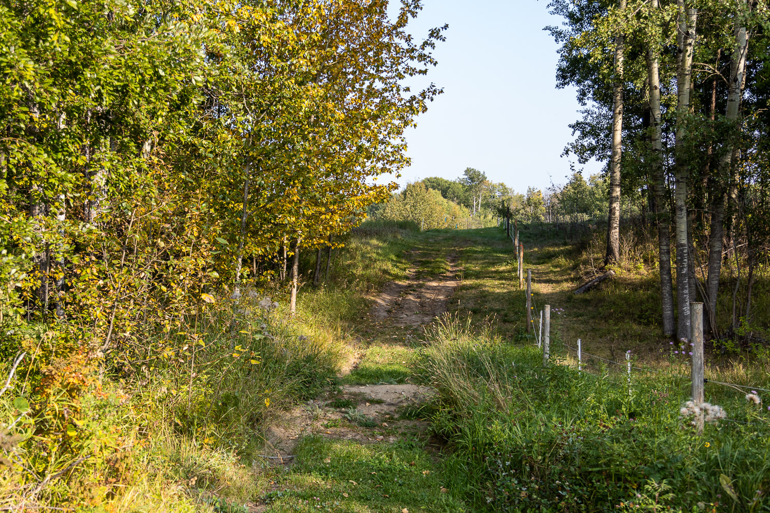 Gentle walking trails go all around the property