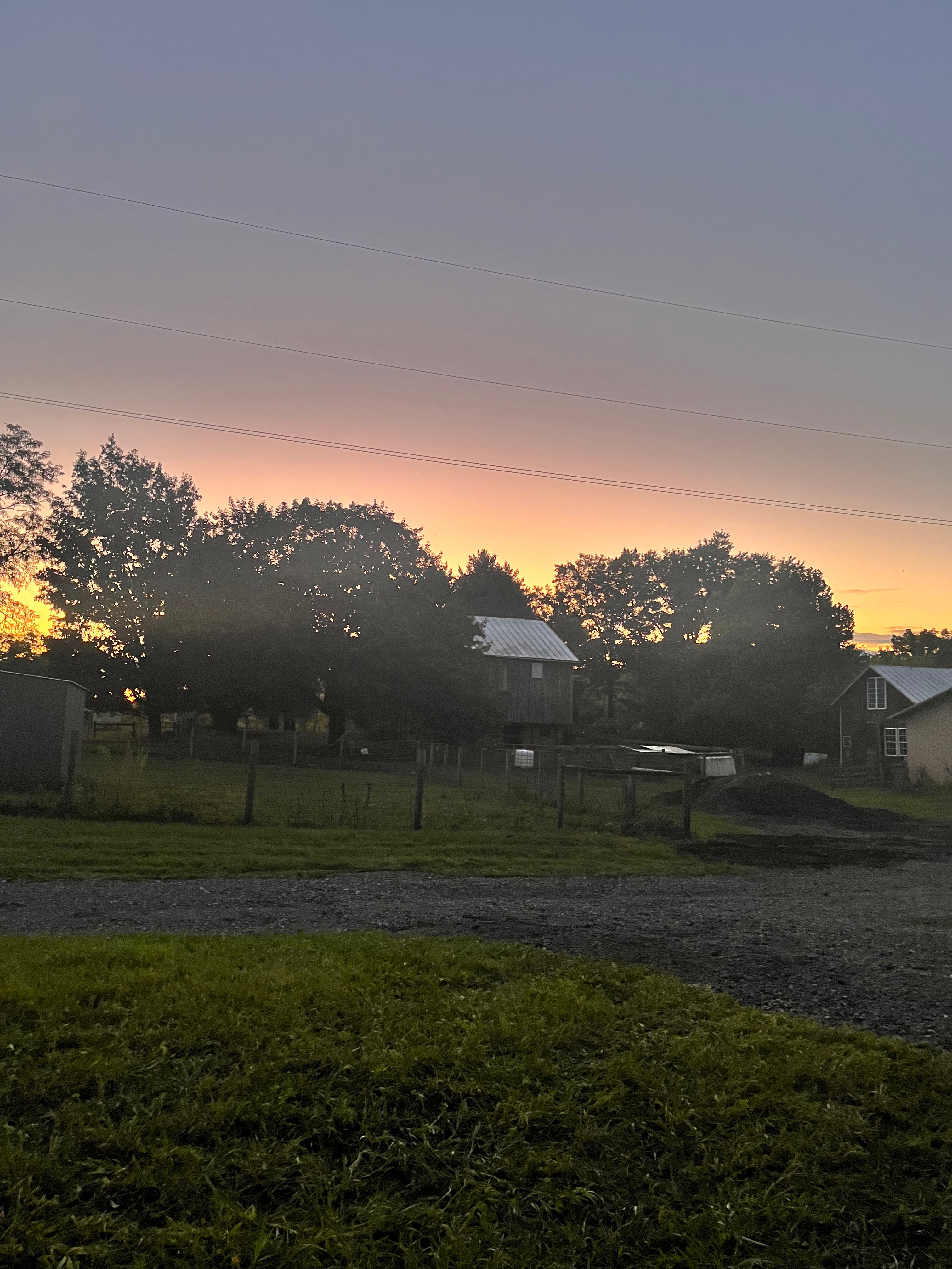 Circle S Farm Camping