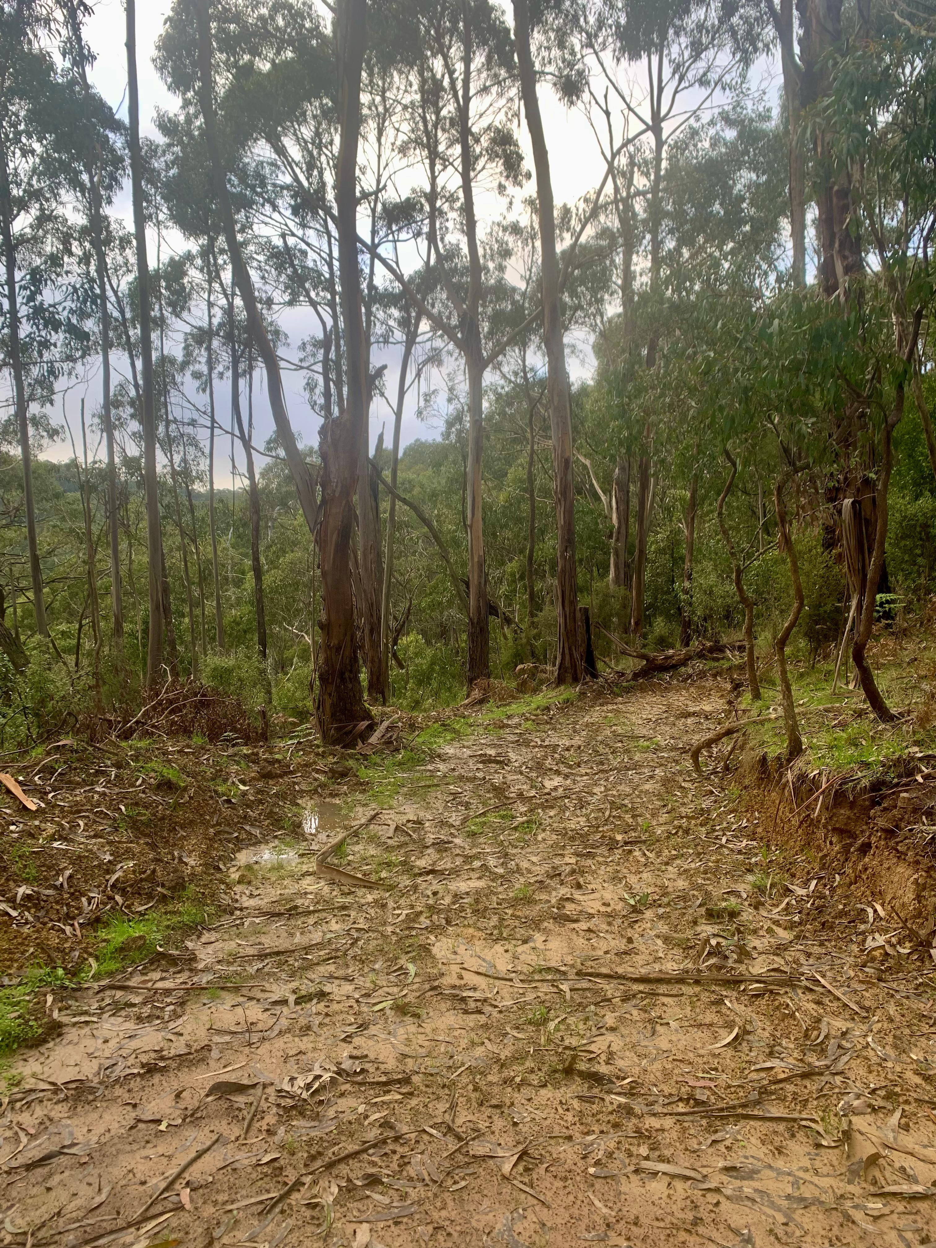 Lower down camp site - dry weather only 