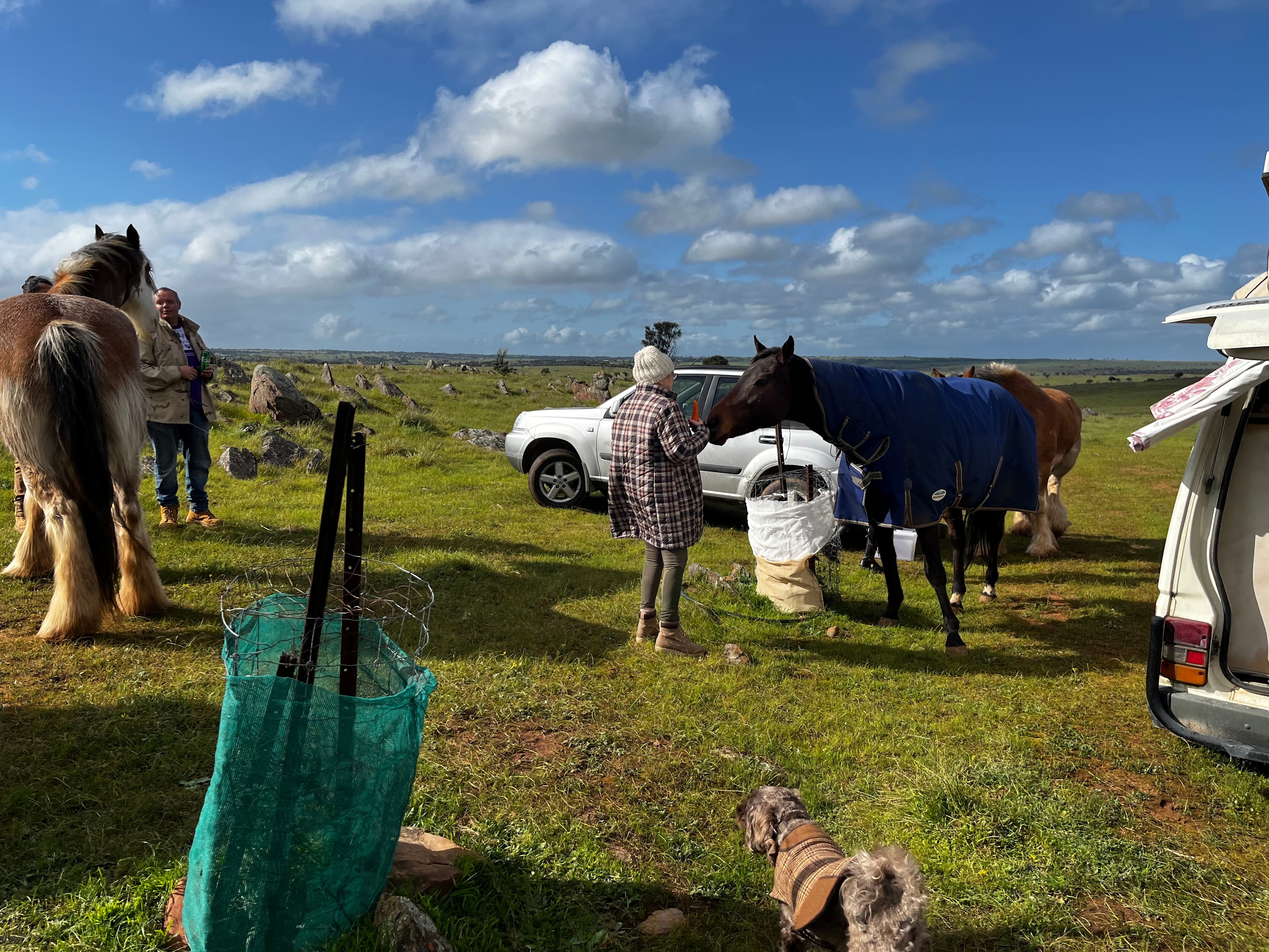 Harry’s Rockleigh Bush Camp