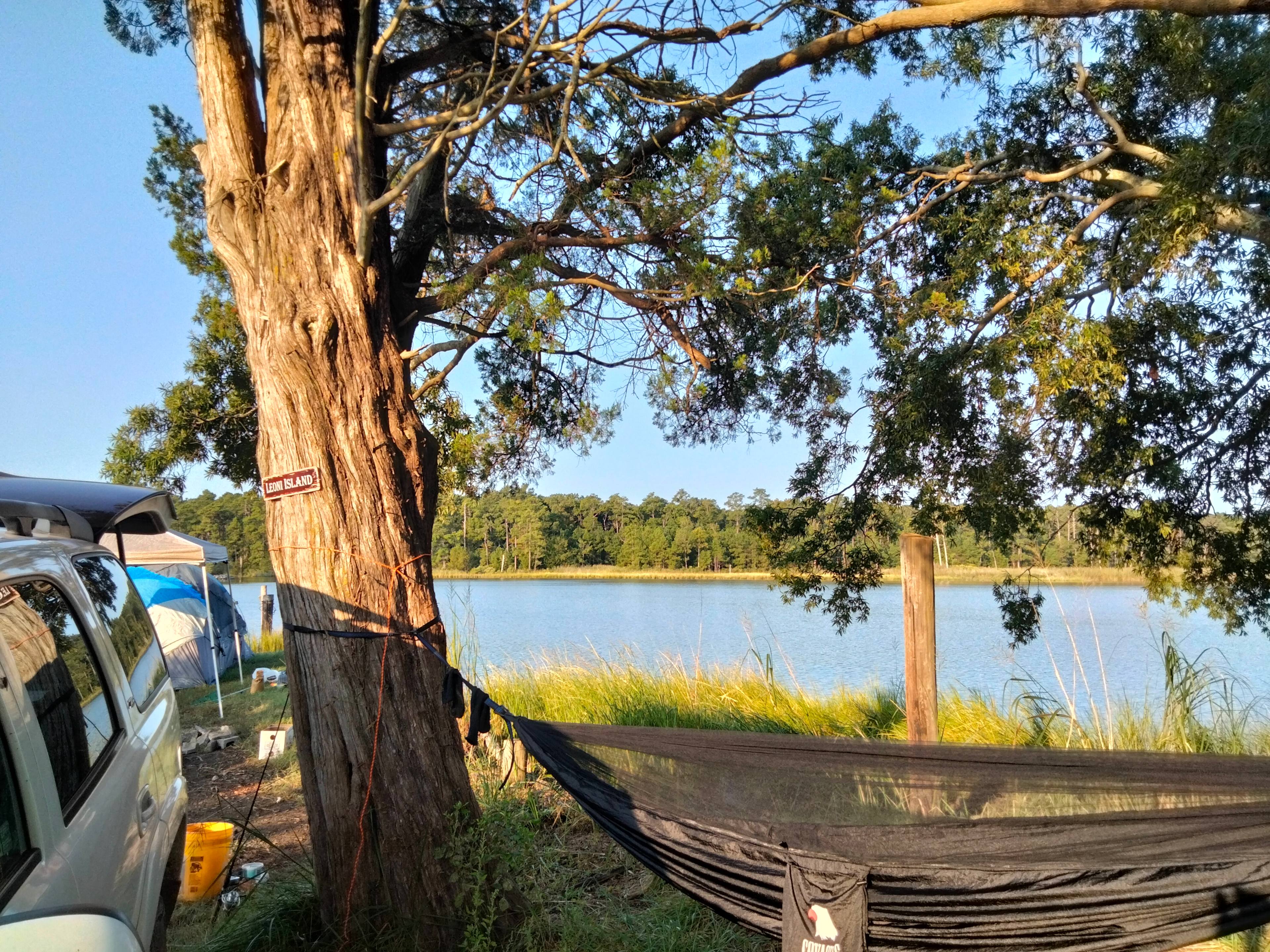 TINYHOME n WOODS & PRIVATE ISLAND