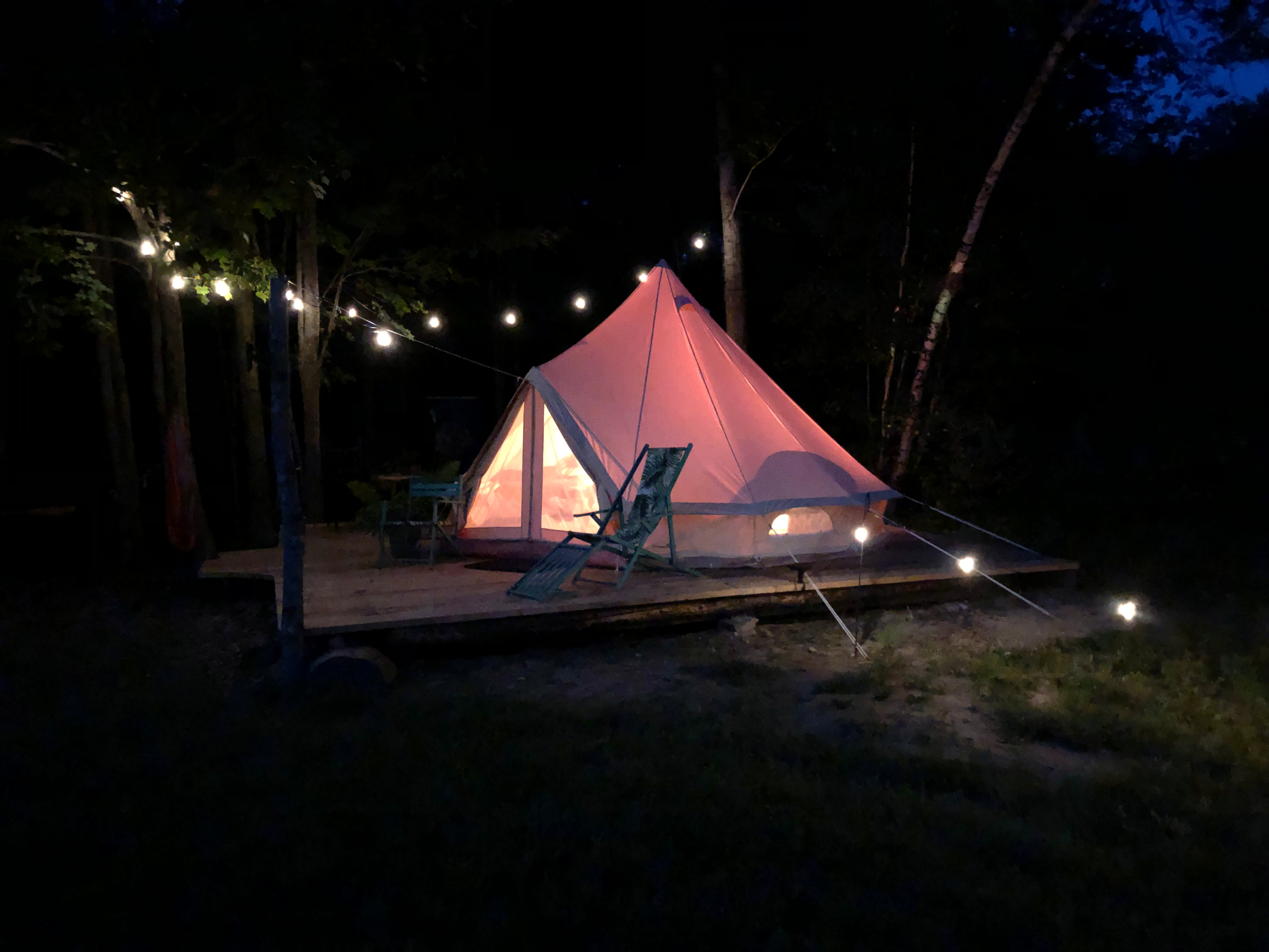 Camp Frogginton