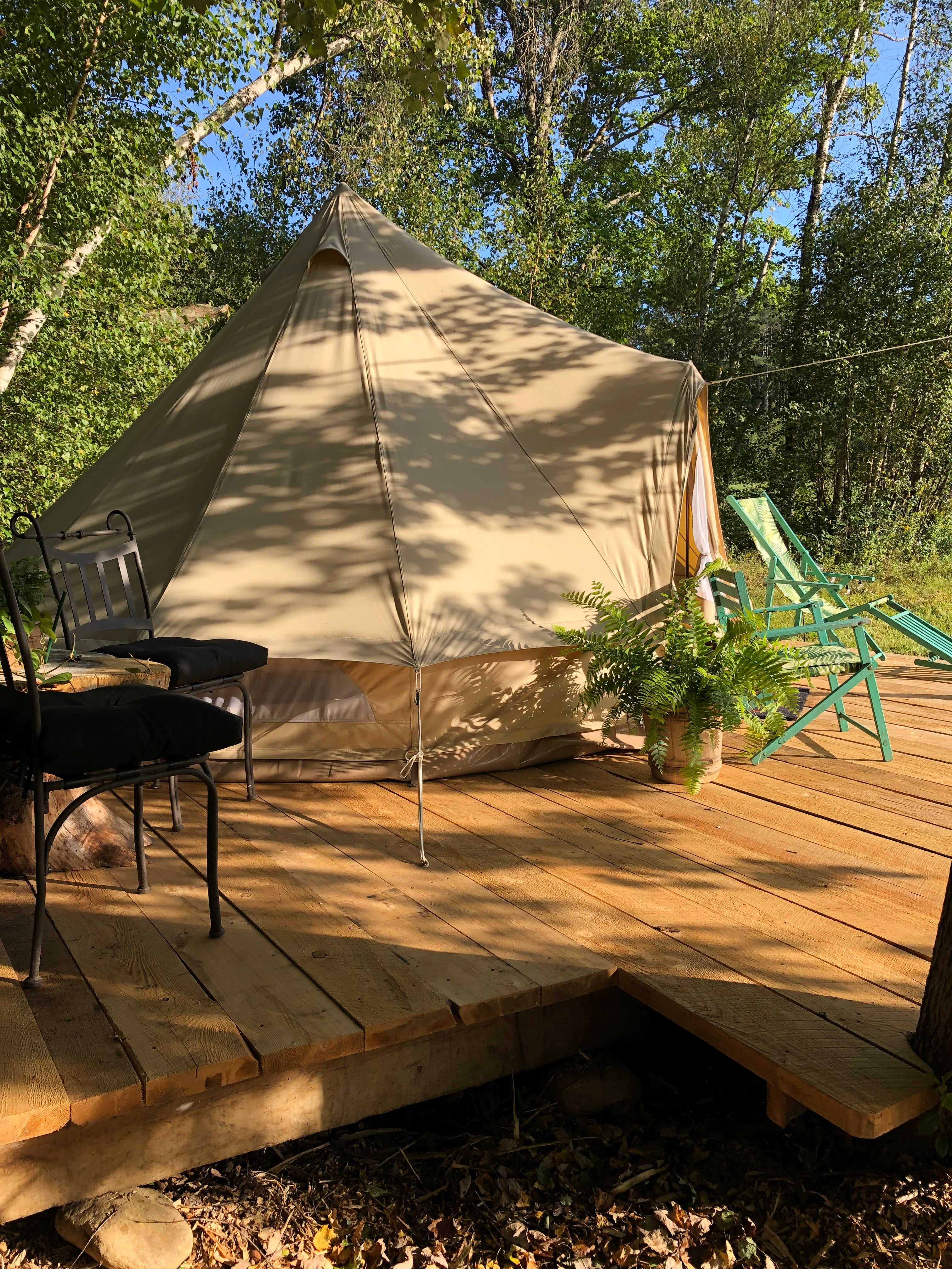 Camp Frogginton