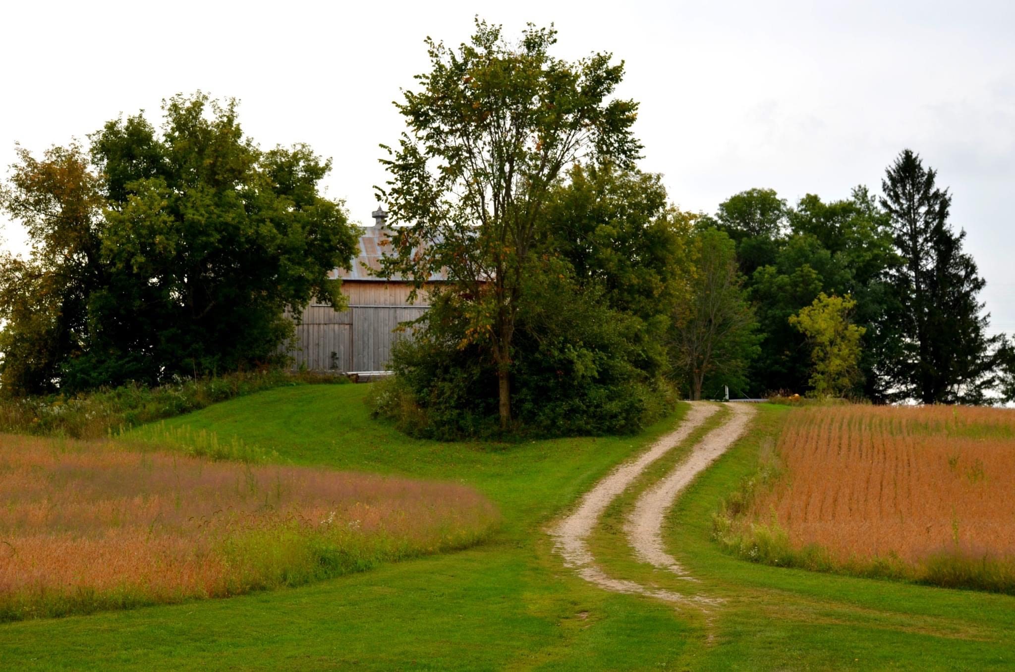 Beaver Ranch