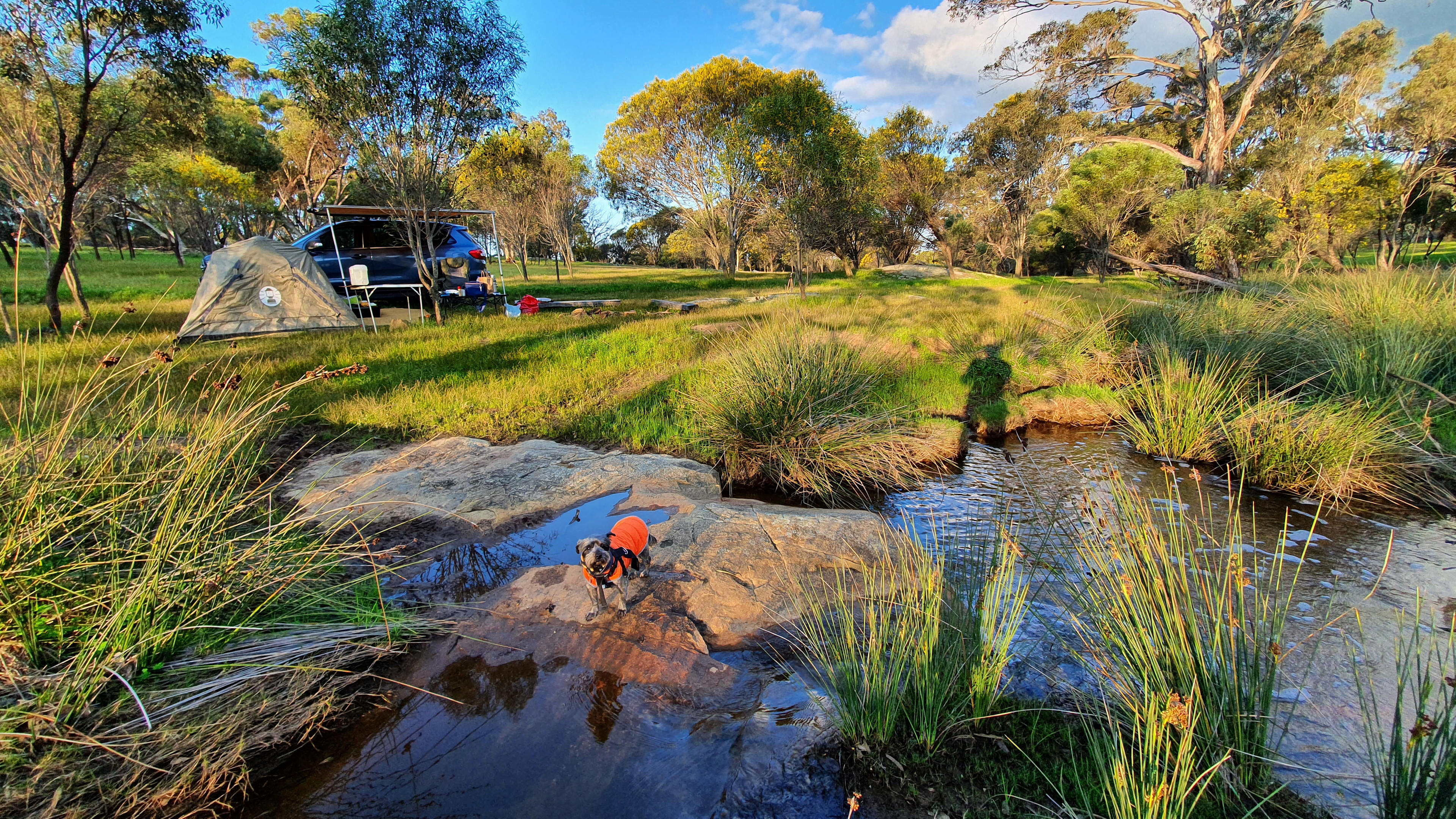 Avonbrook Wheatbelt creekside camp