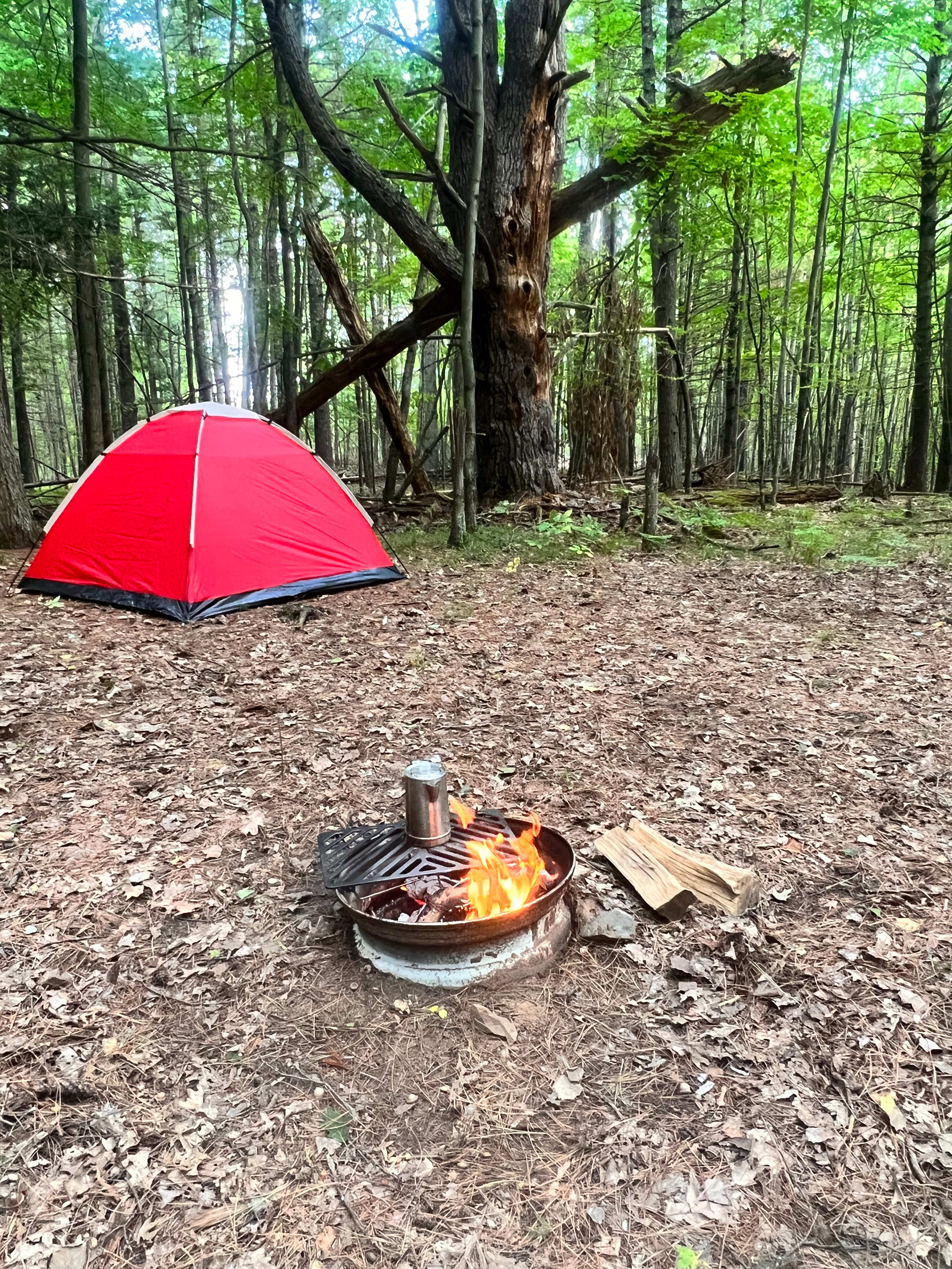 Set up tent and get fire going 🔥