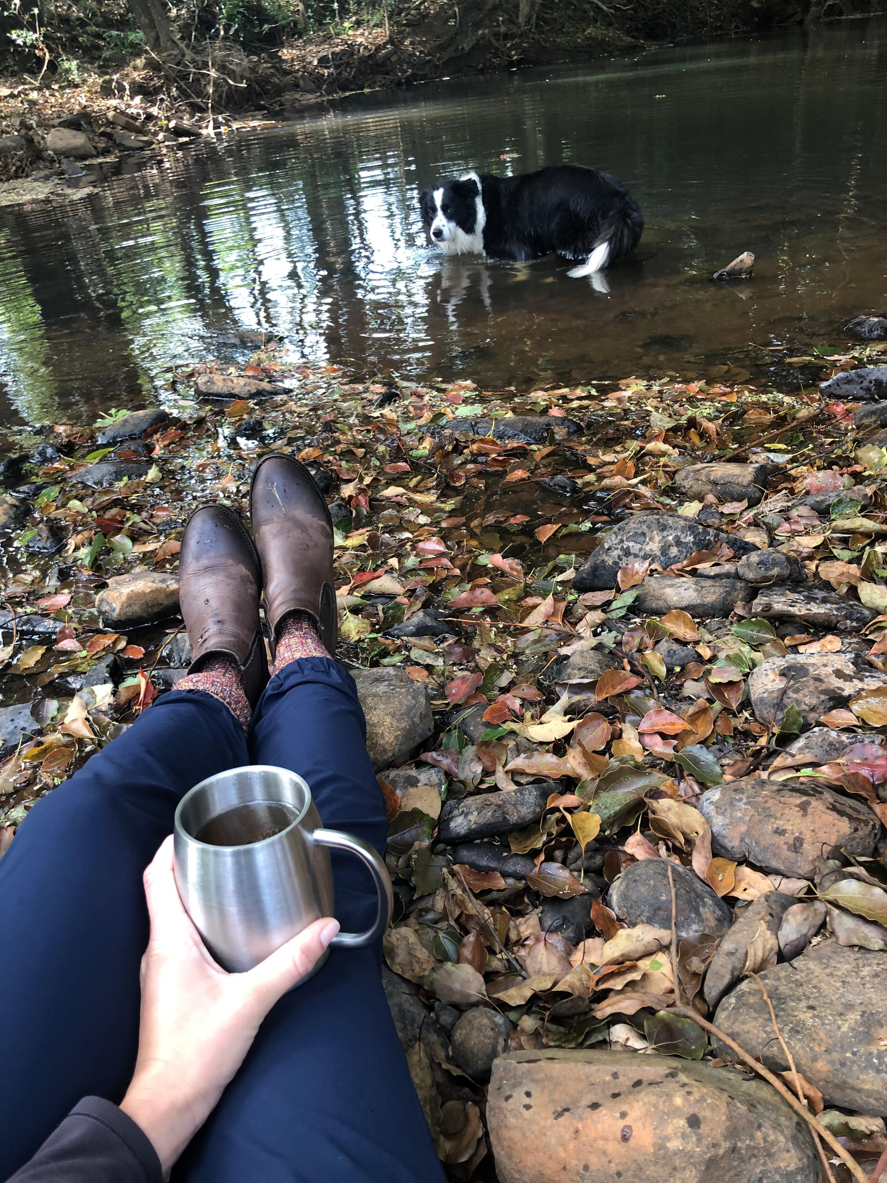 Creek Edge, Macadamia Farm