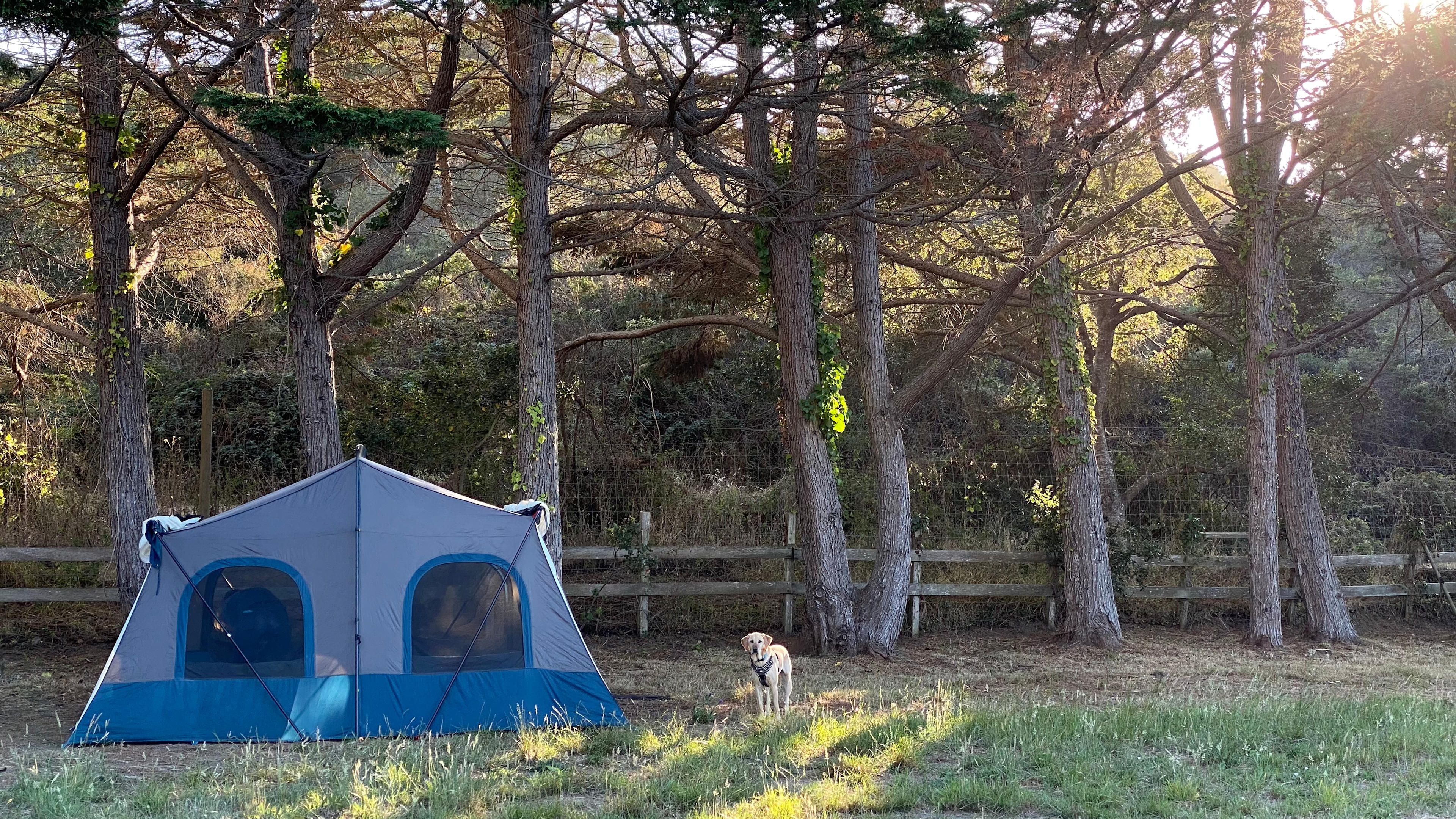 Meadow camping in Bolinas