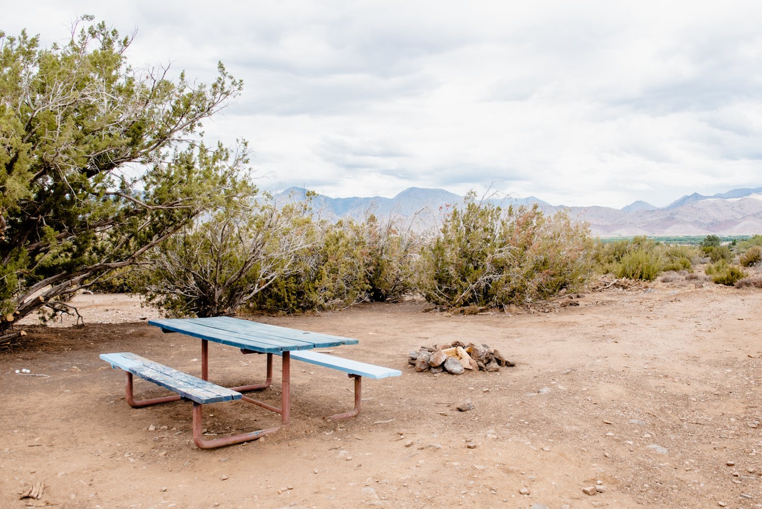 Wandering Star Ranch