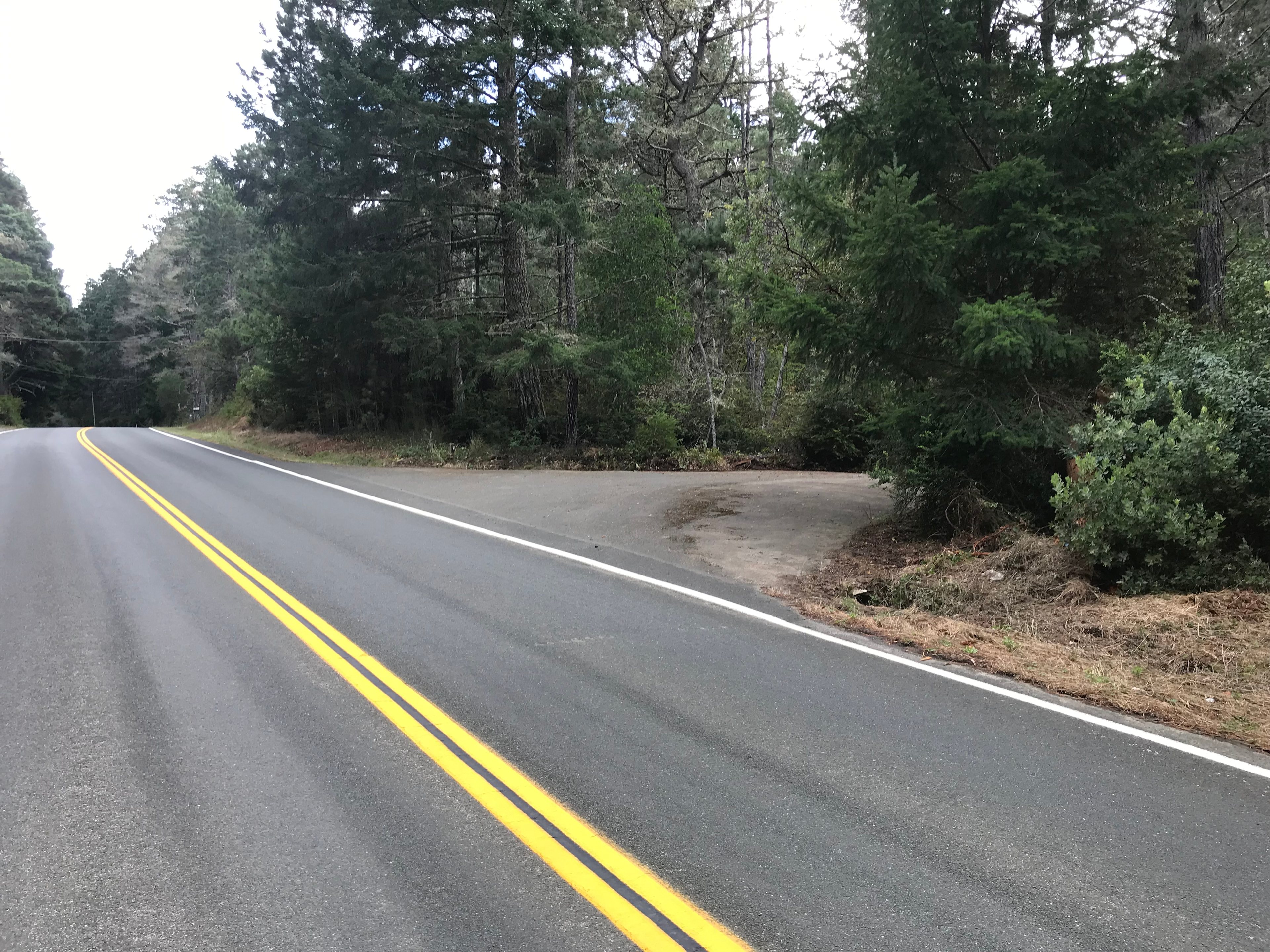 looking south on Ten Mile Rd approx 200 yds from my driveway at 25200