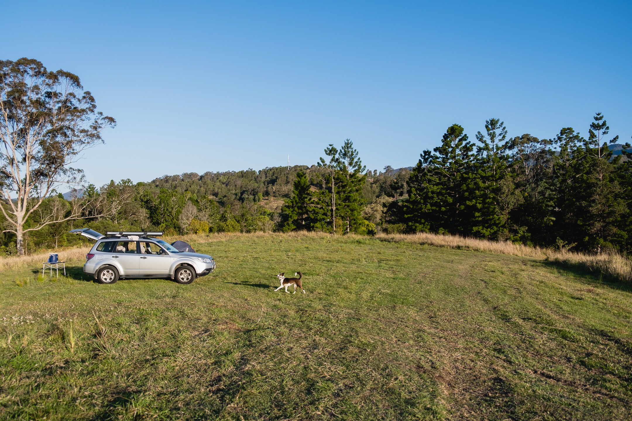 Campground 4 - great for small and large groups, BYO shade.
