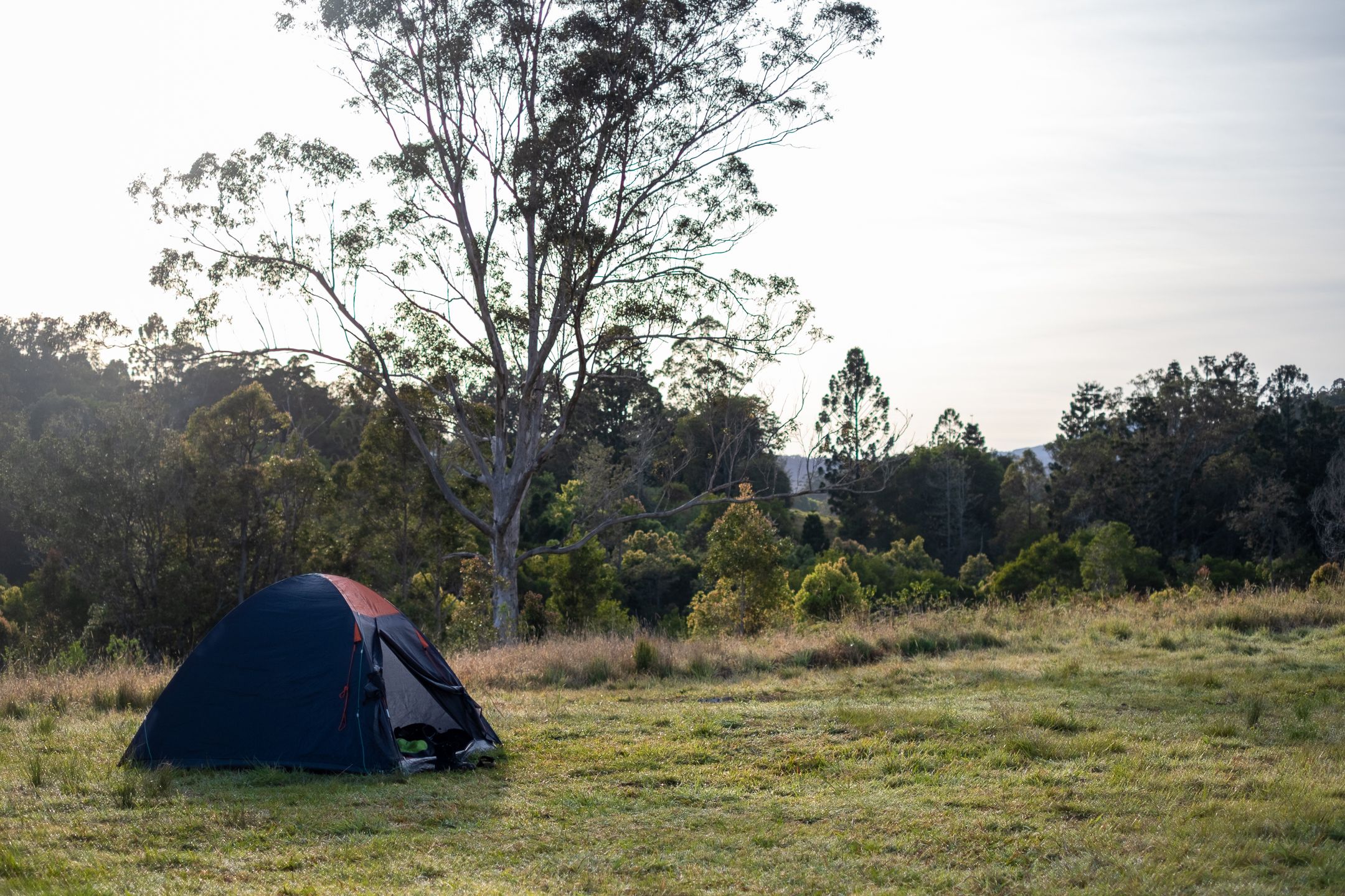Campground 4, lots of room for activities.