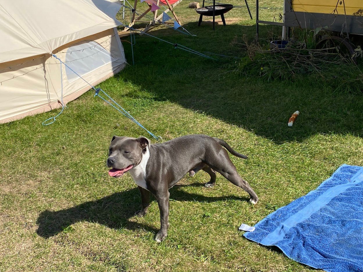 Hunstanton Camping & Glamping
