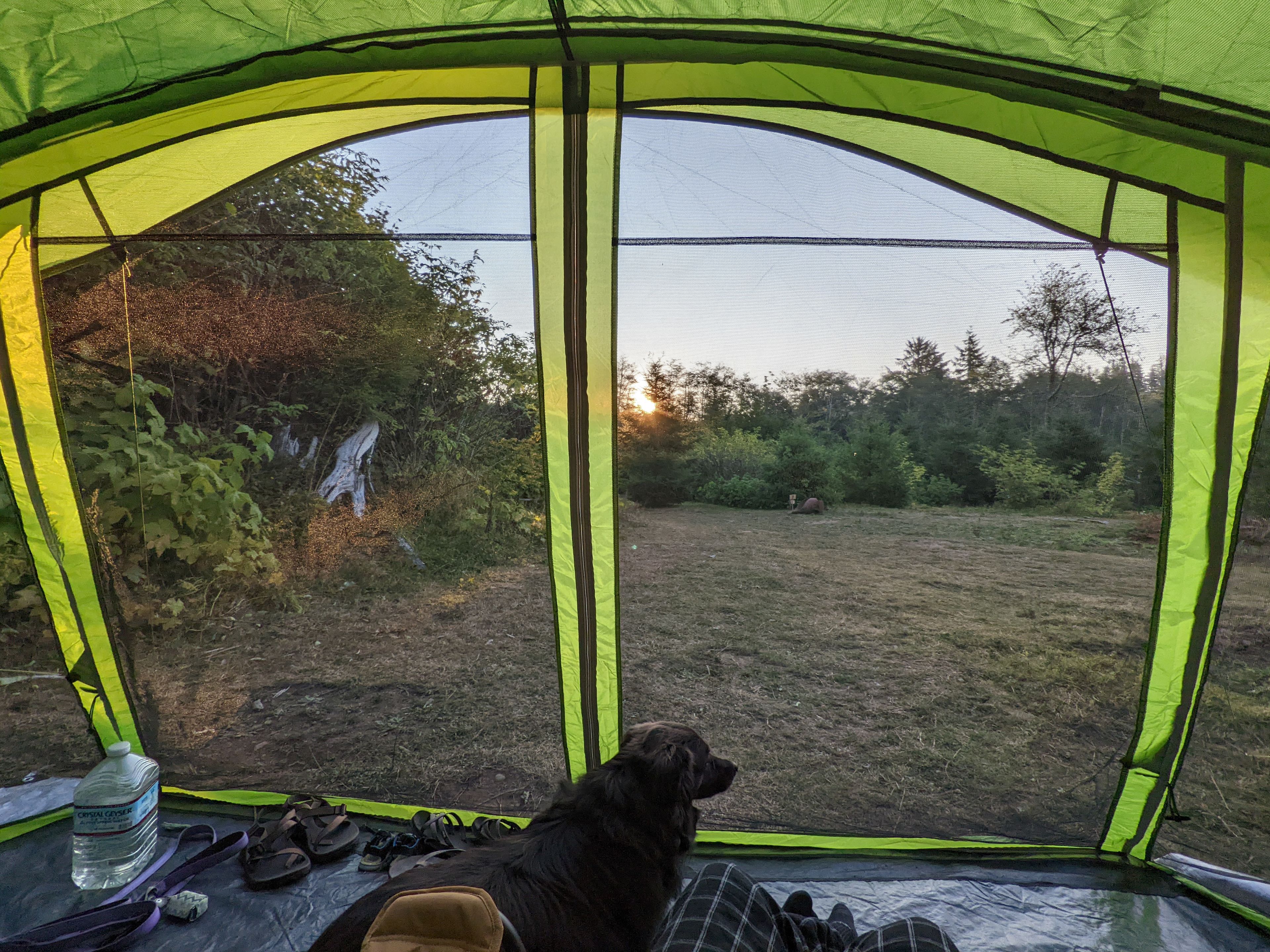 View of the rising sun in the morning. Most camping sites on the property are tucked away in brush and small trees. This is one of the few in a large open space which is great for watching the sunrise and moonrise.