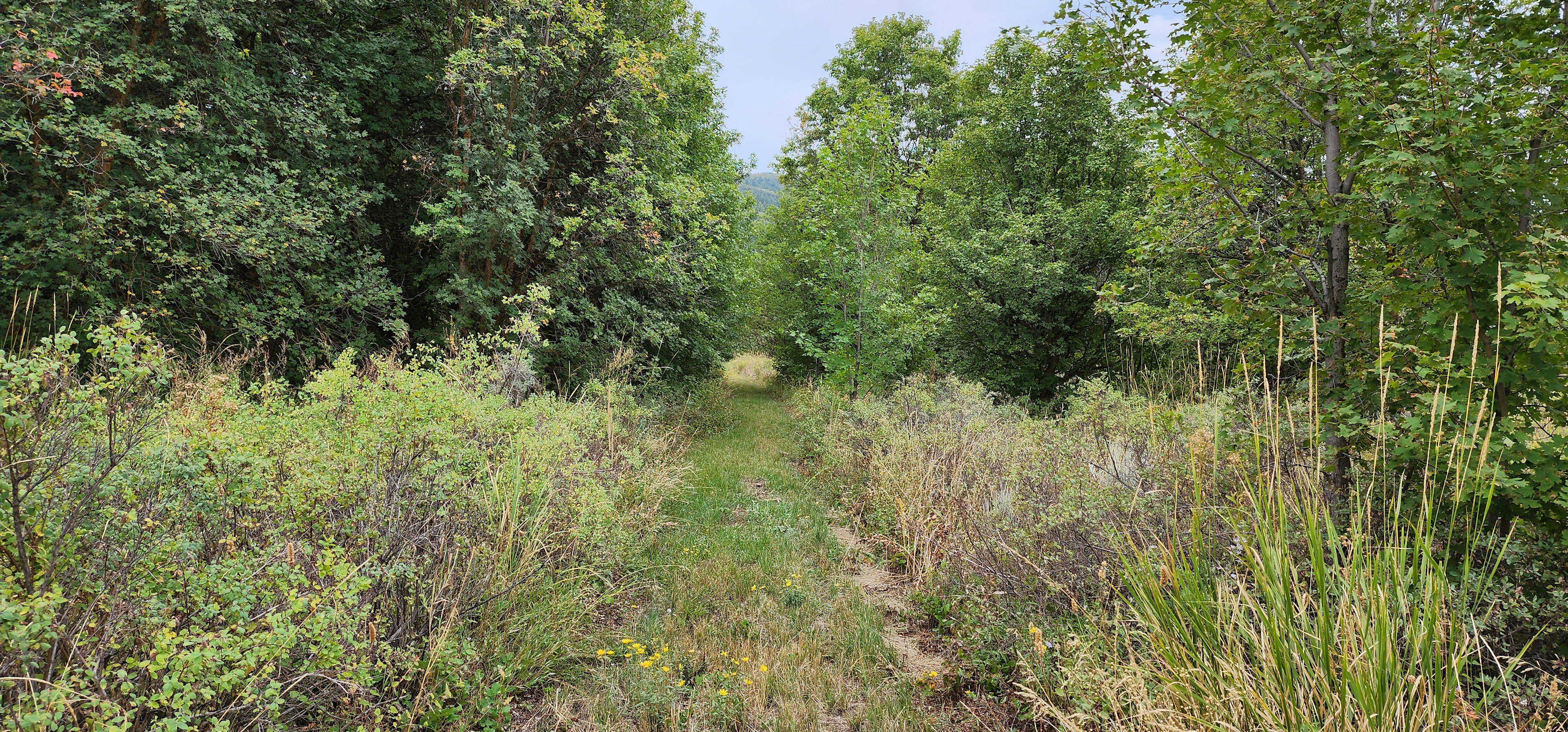 Moonlight Mine Acres