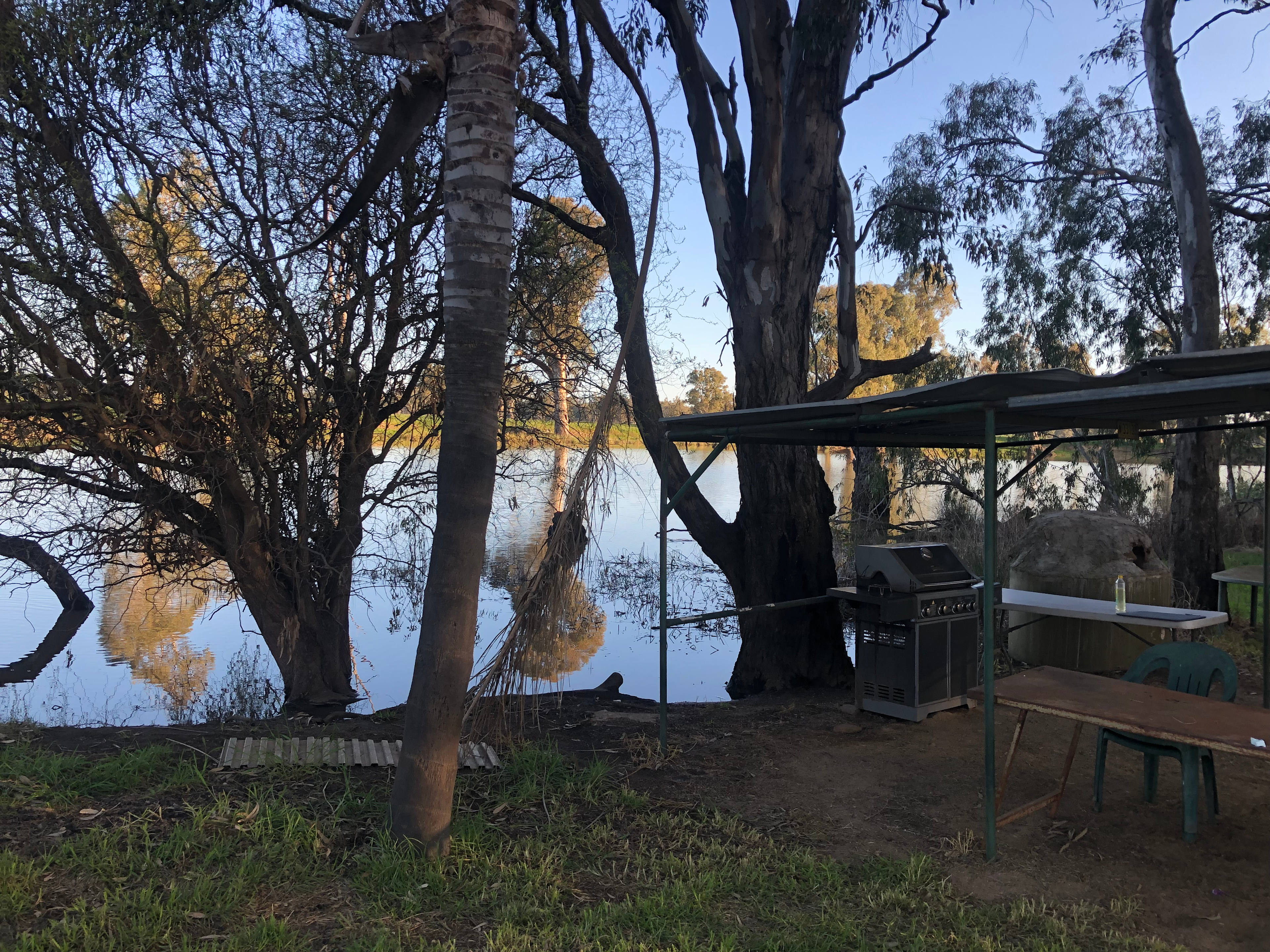 Cudgella on Bundidgerry Creek