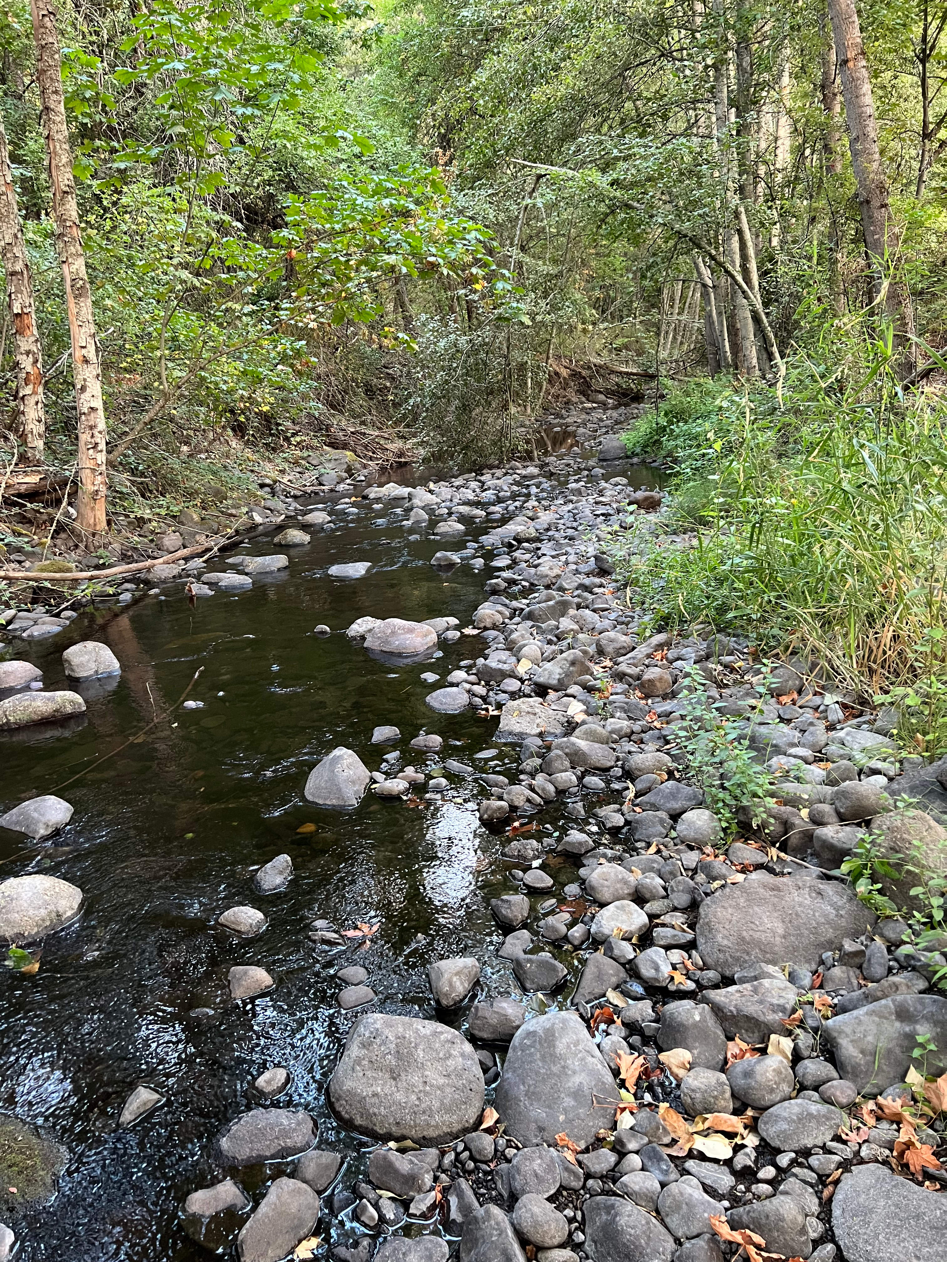 MOSIER CREEK