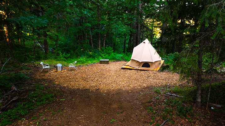 BaseGlamp ReVivify
