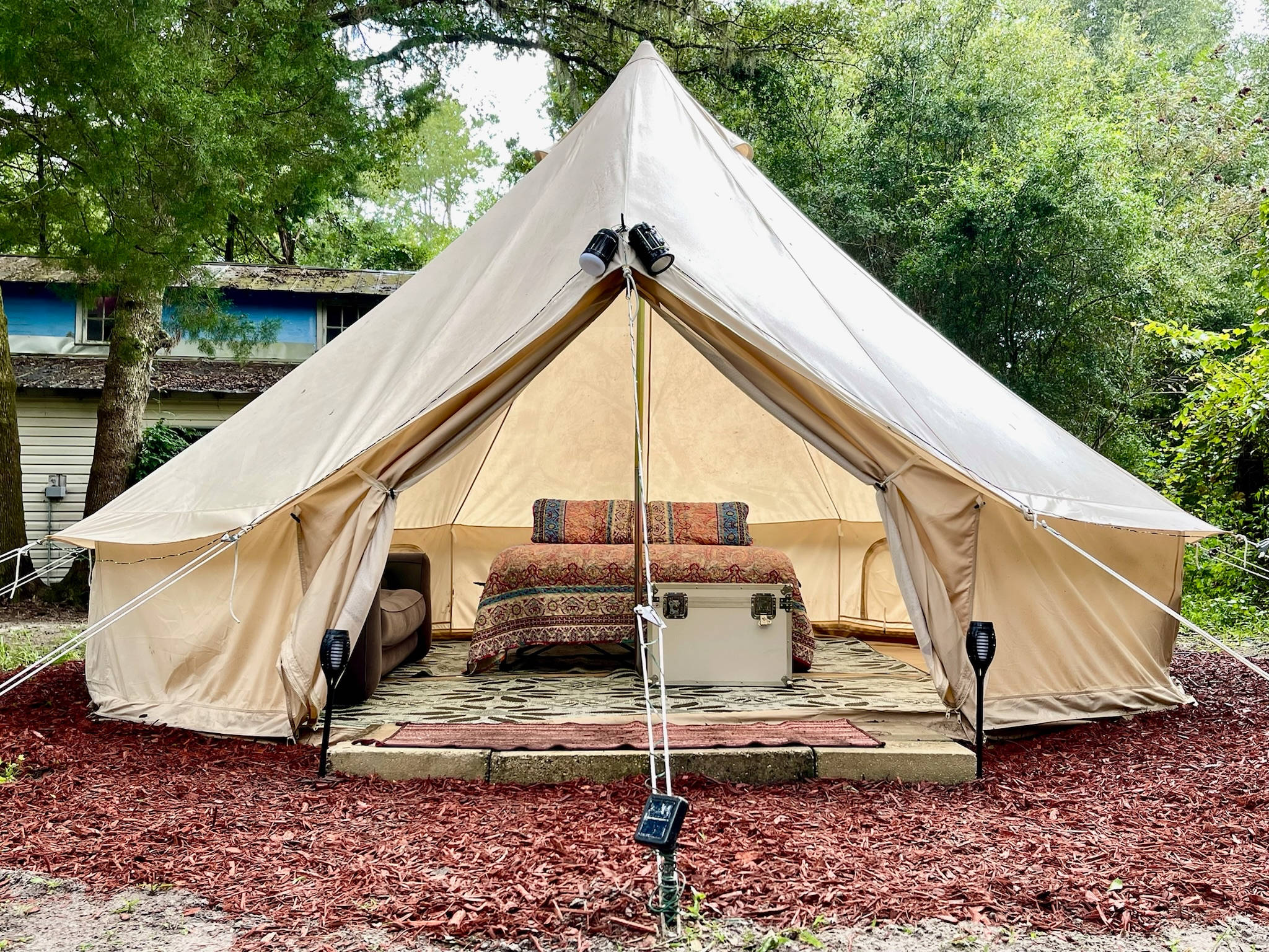 Purradise Springs 🐾 Cat Sanctuary