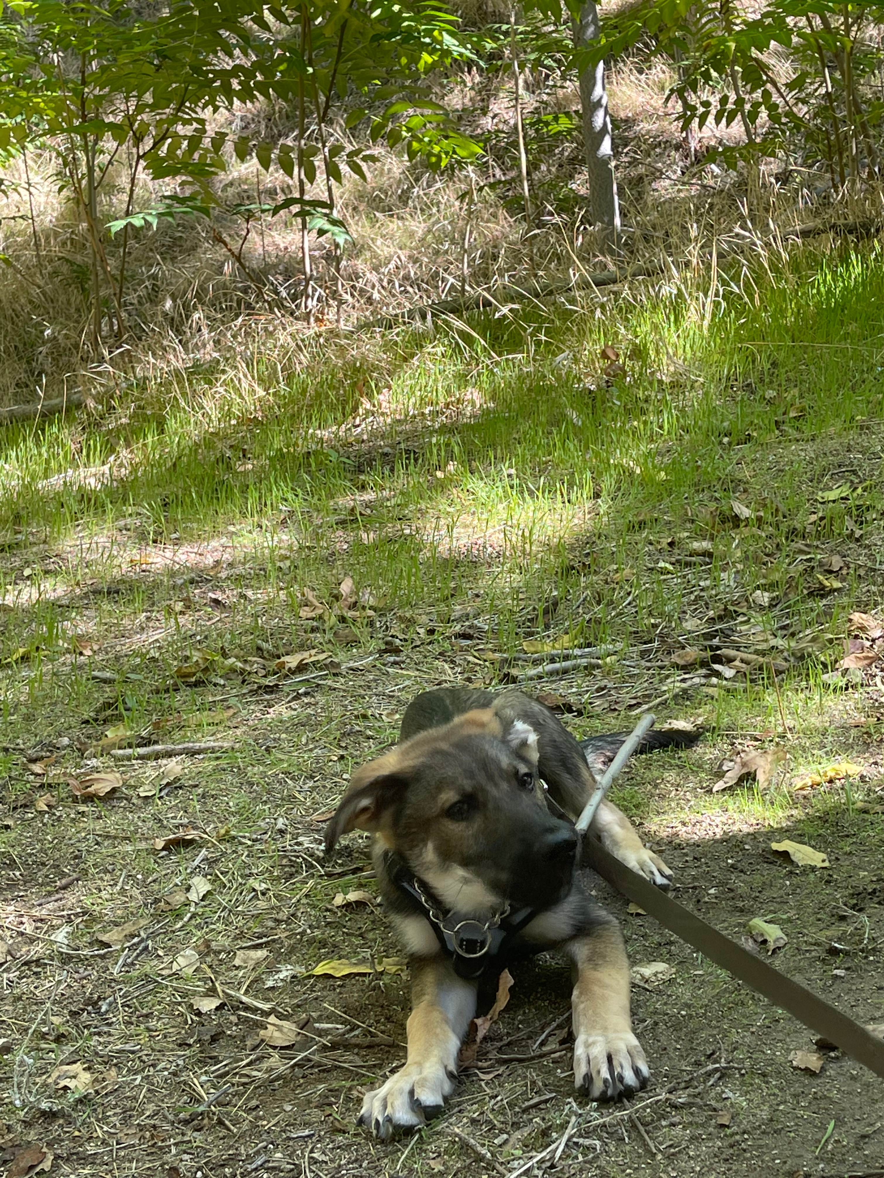 Banner Ranch Julian