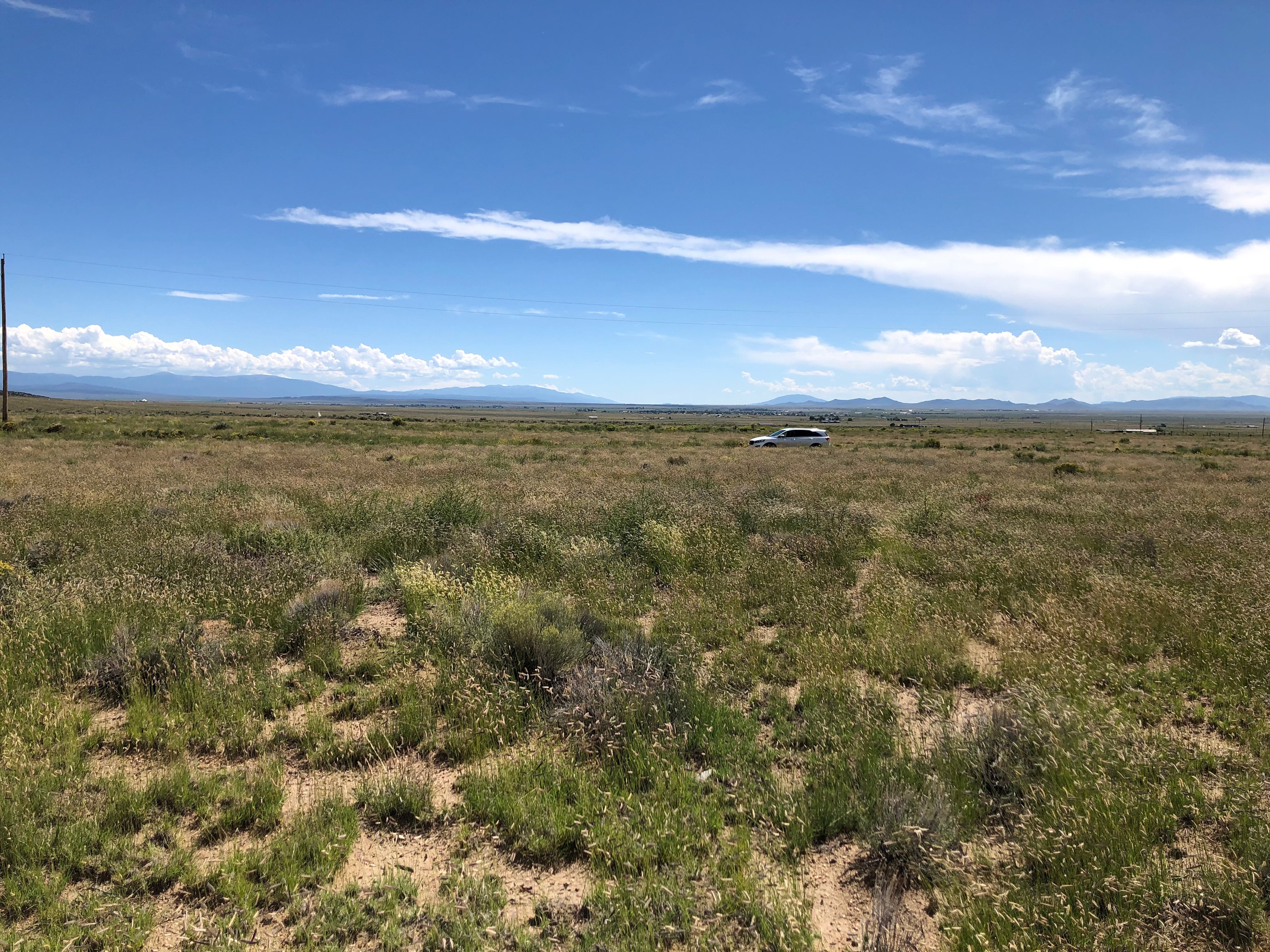 The center of our 5 acres looking the other way.  