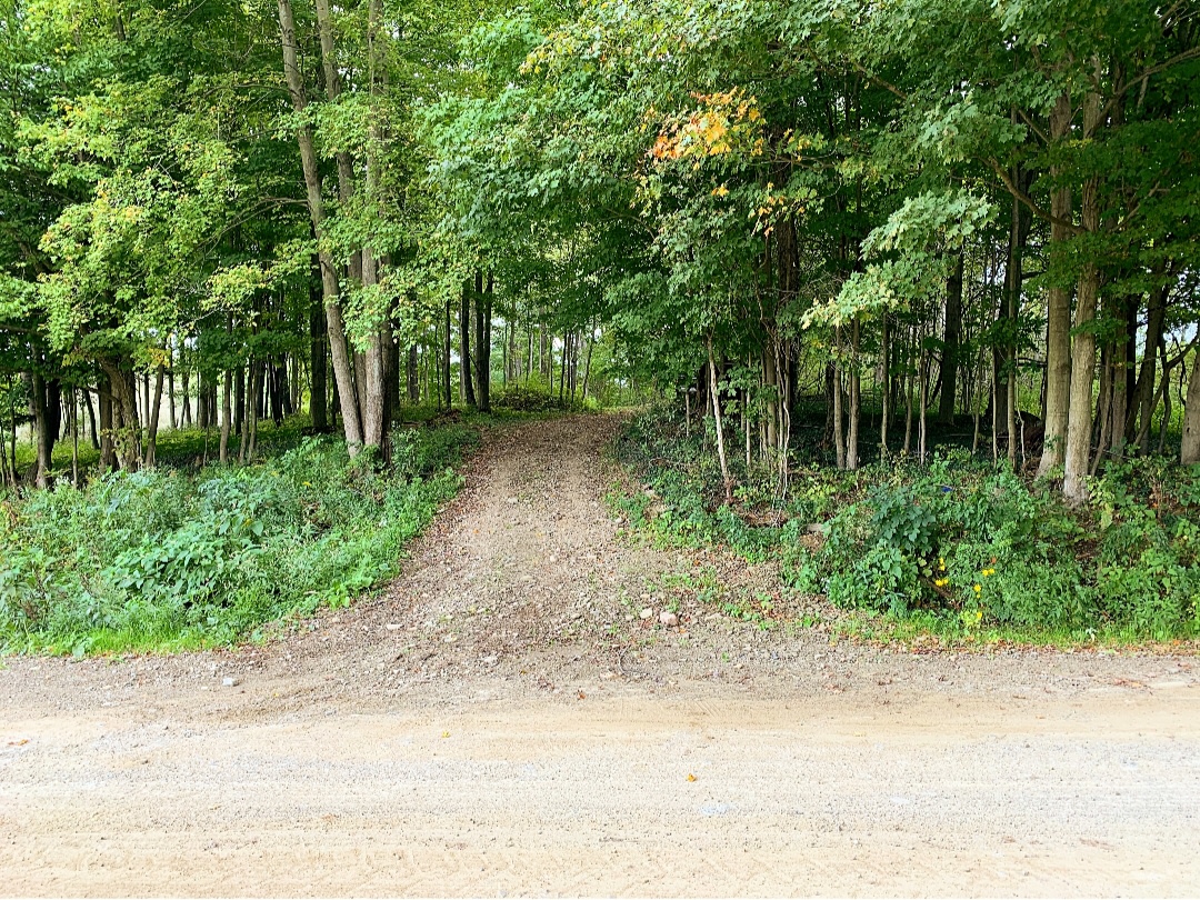 Secluded Overlook Solo Campsite