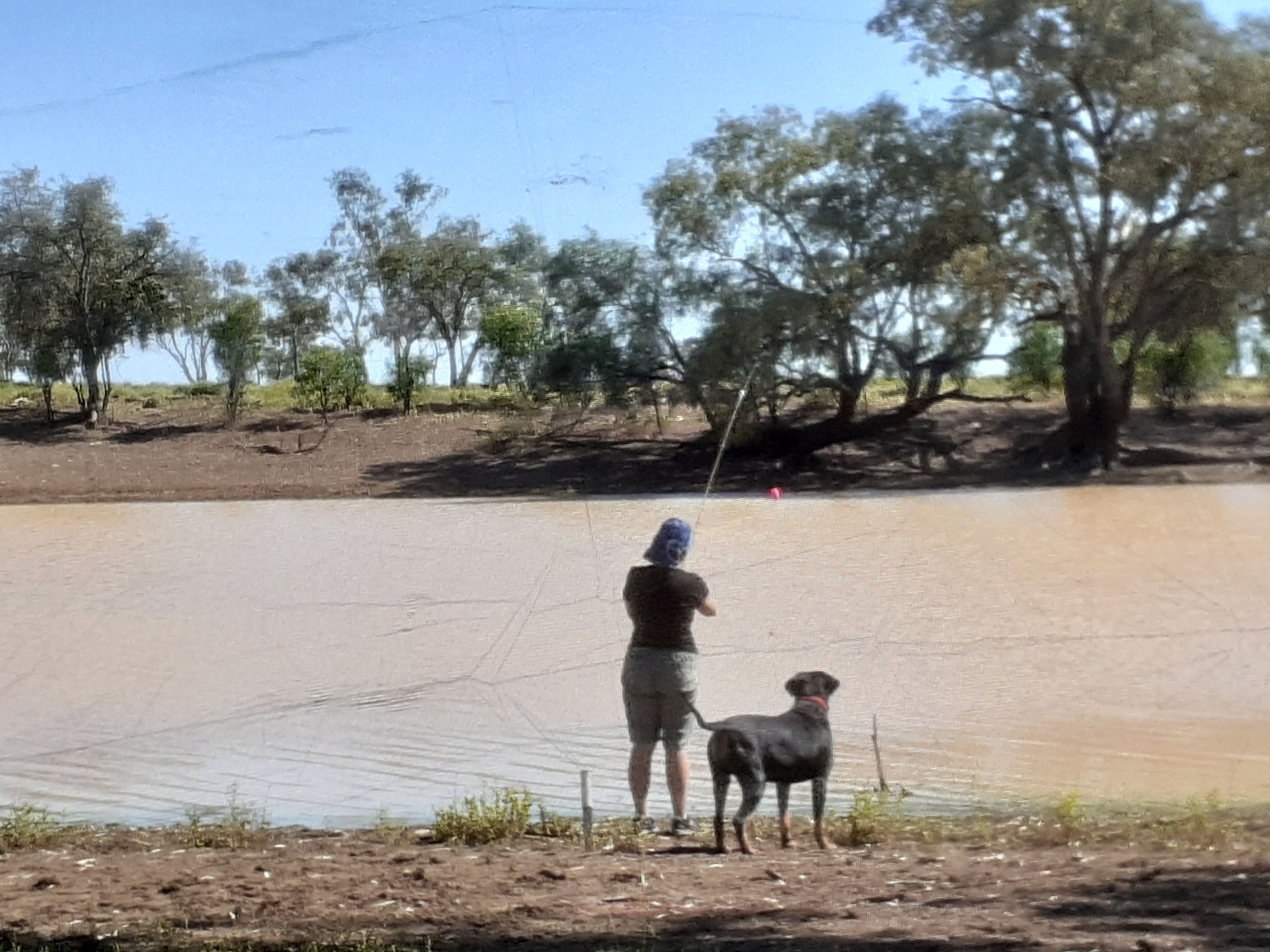 View from camp site 1