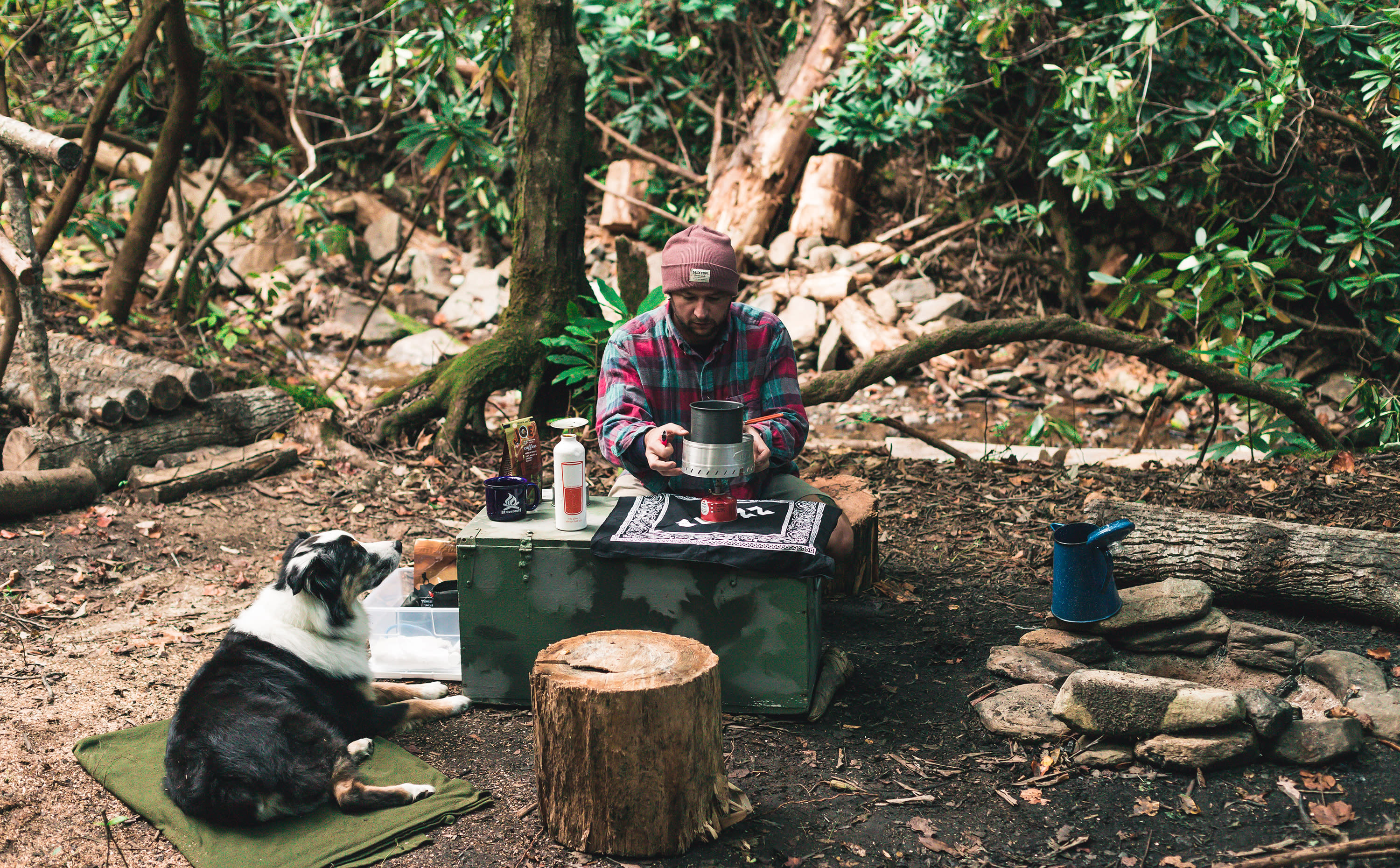Creekside Camping at Rose Bay