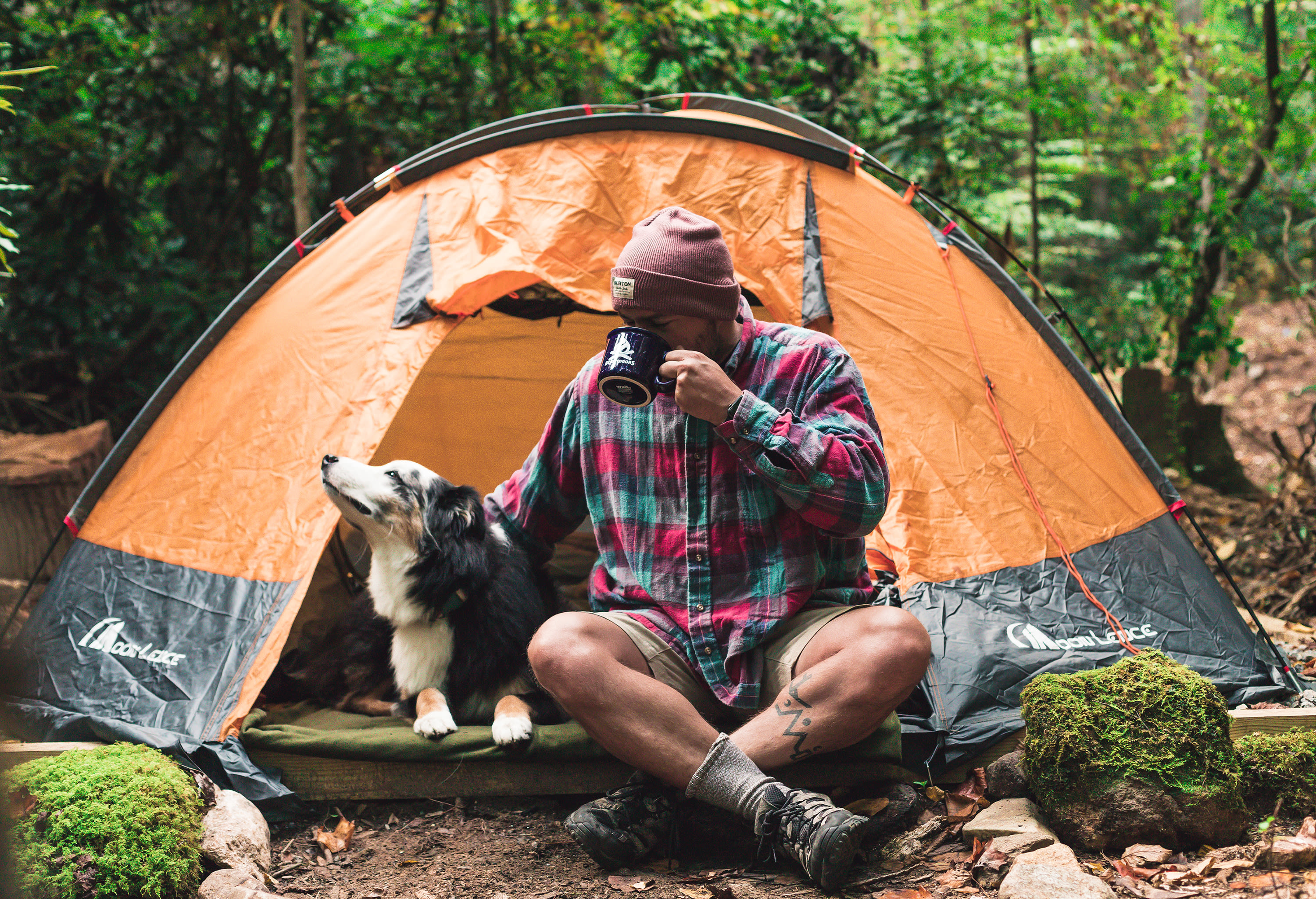 Creekside Camping at Rose Bay