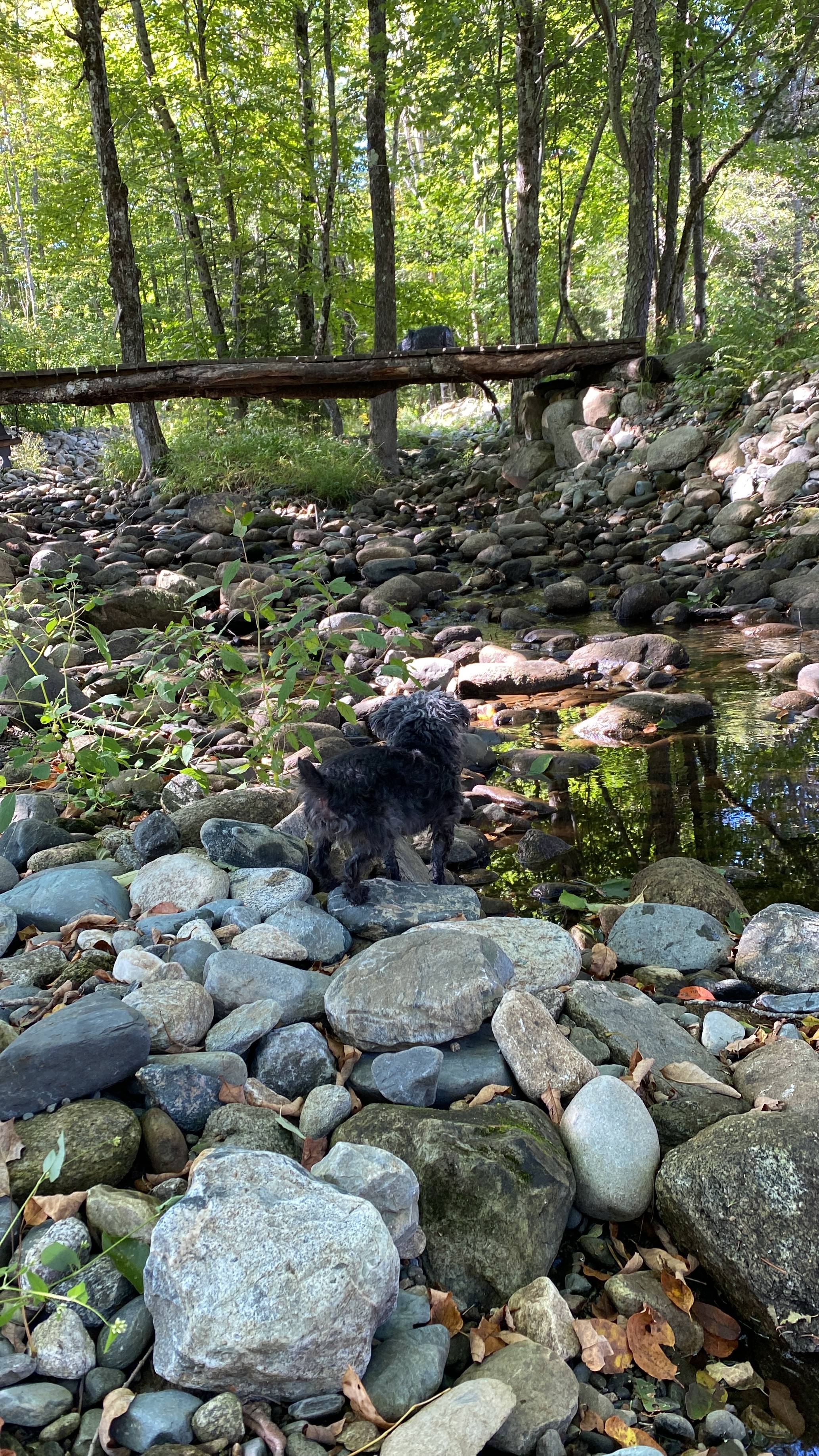 Camp Ebb and Flow