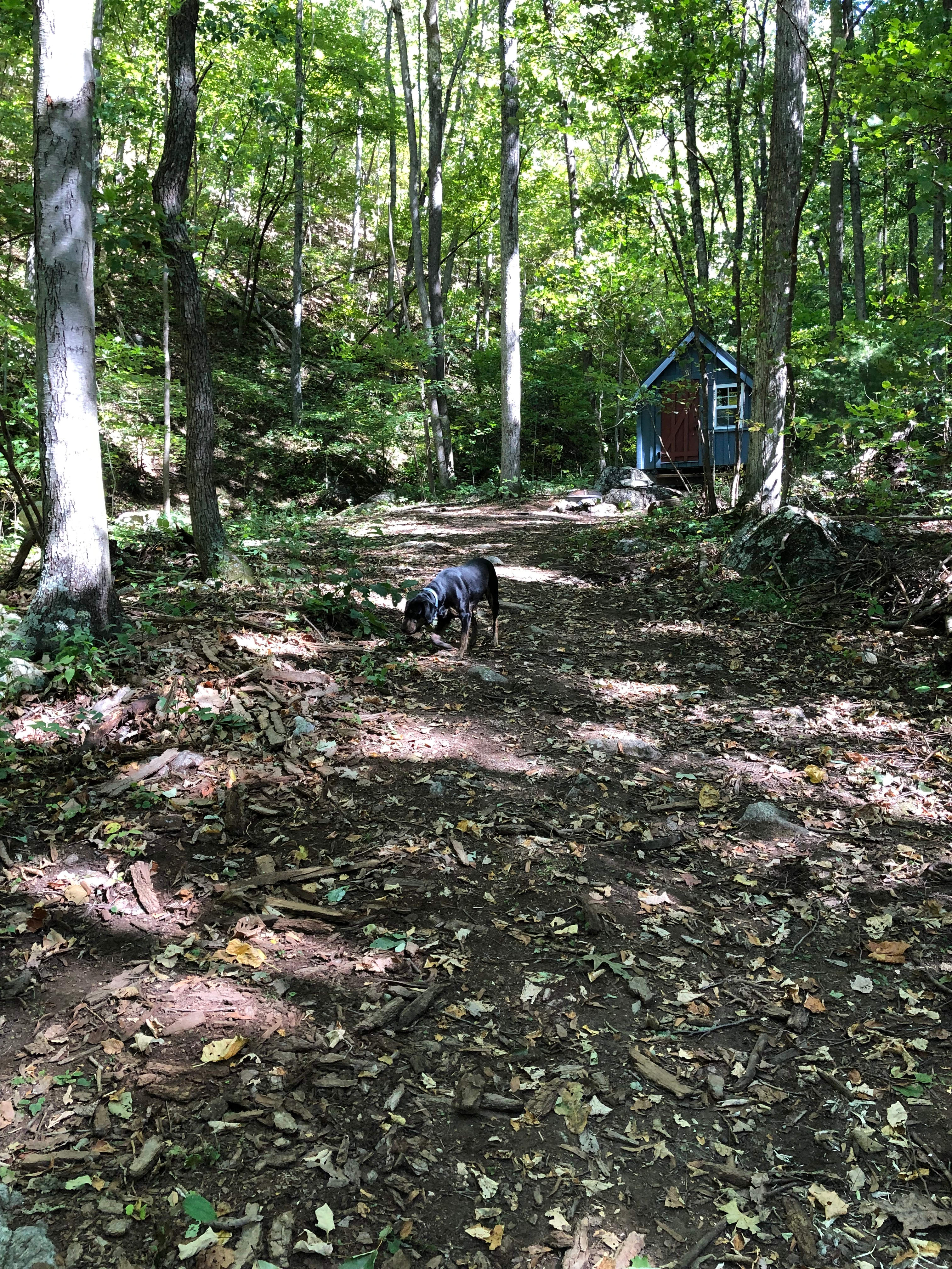 Meili Mtn - Tye River Escape