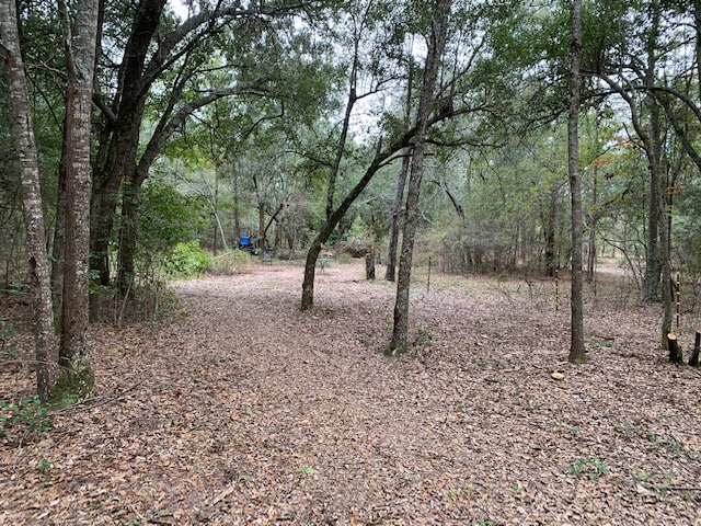 Too Many Oaks Plantation