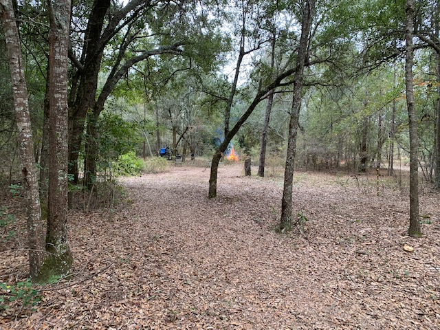 Too Many Oaks Plantation