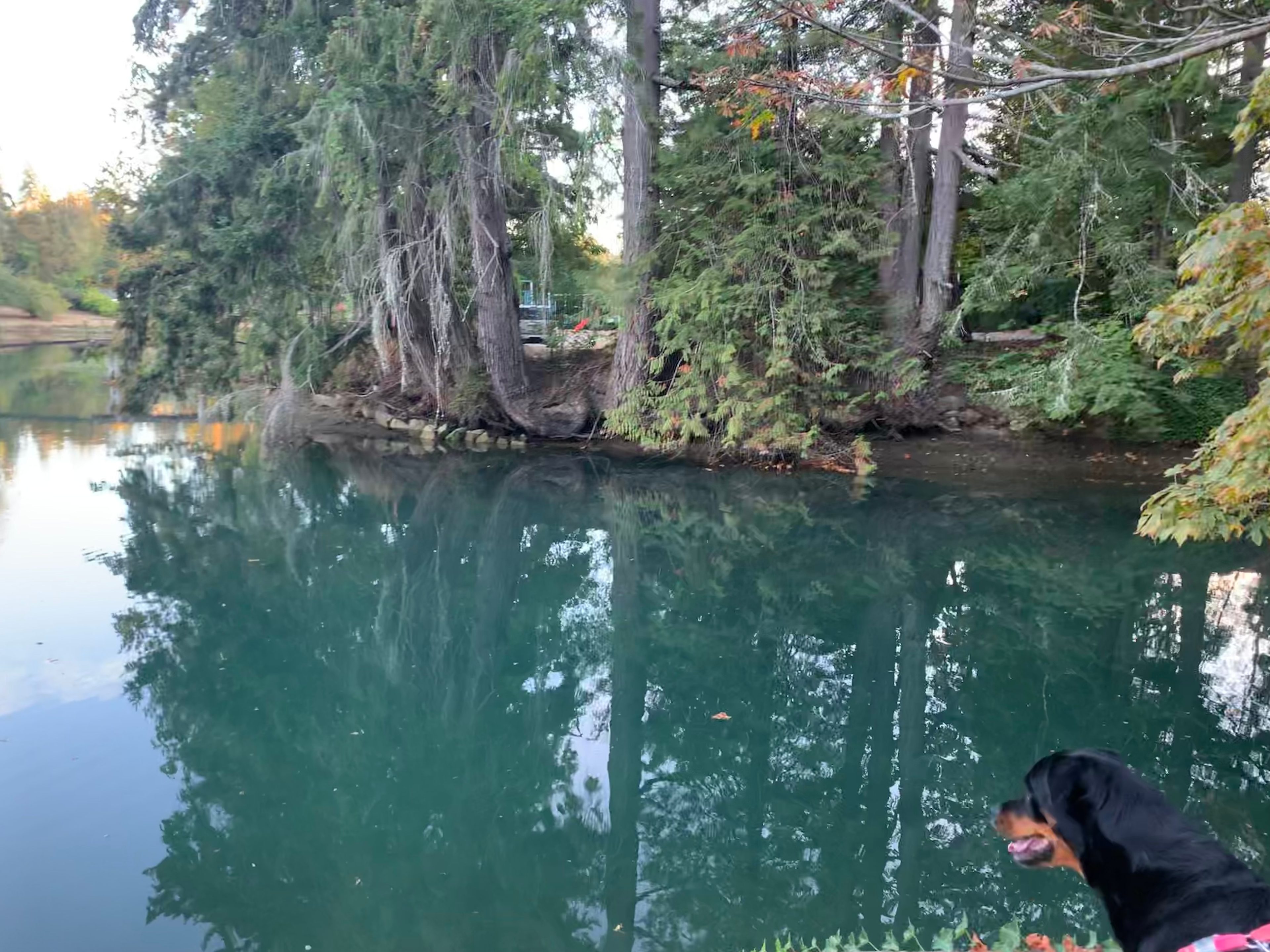 A walk at Lake Bay Marina right across the street from the site.