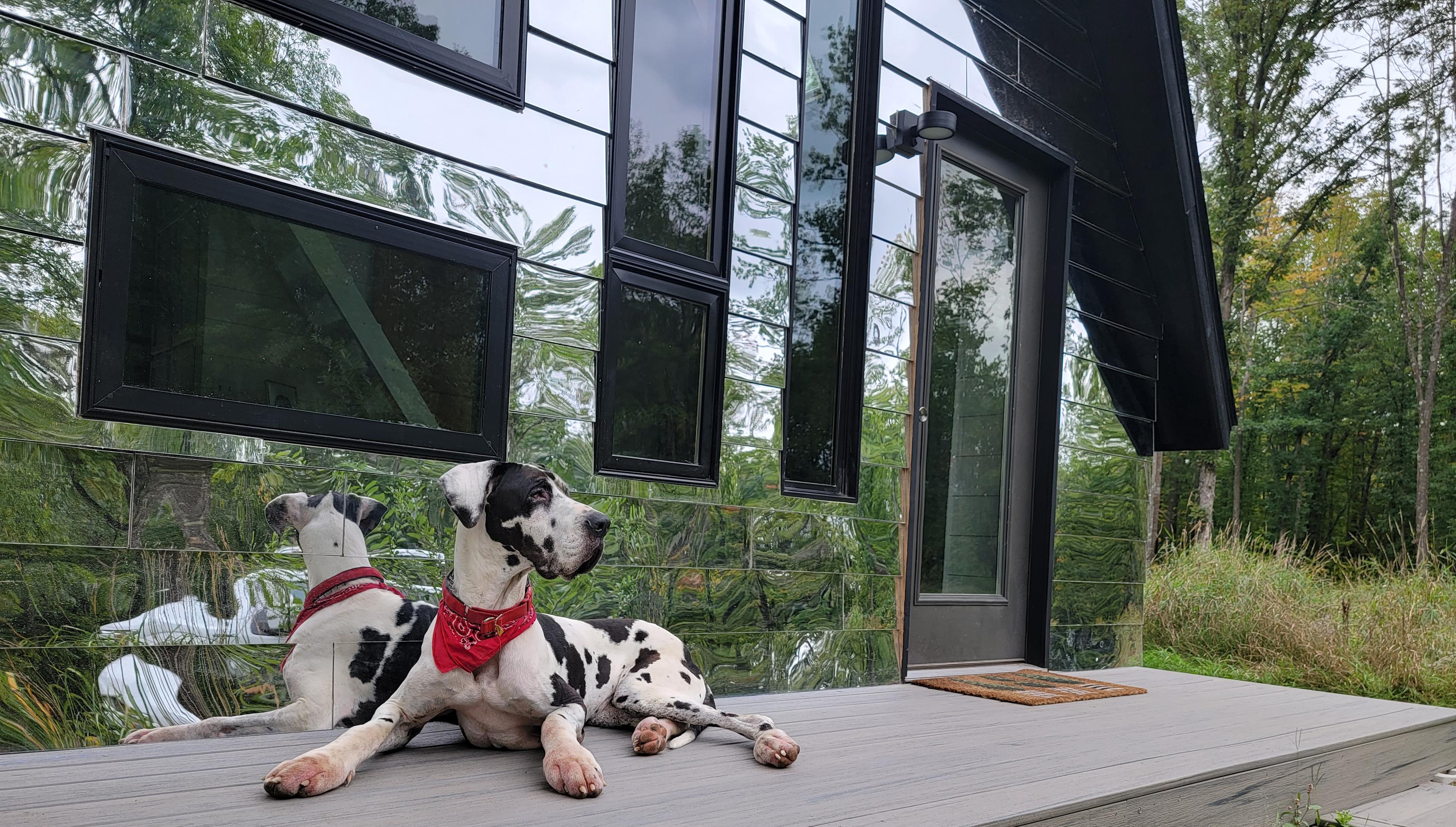 Pet friendly, even large dogs!