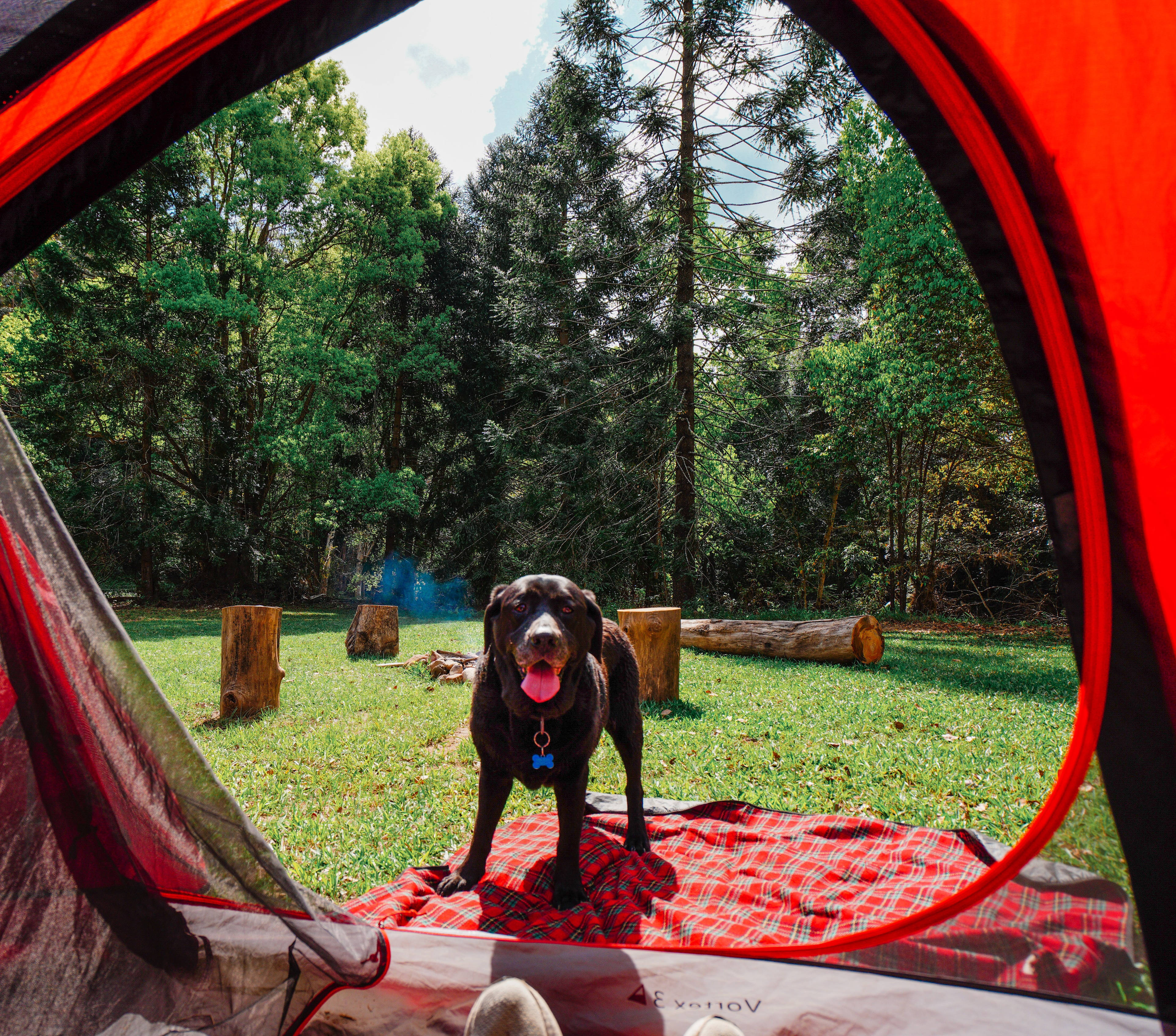 bring your best mate along