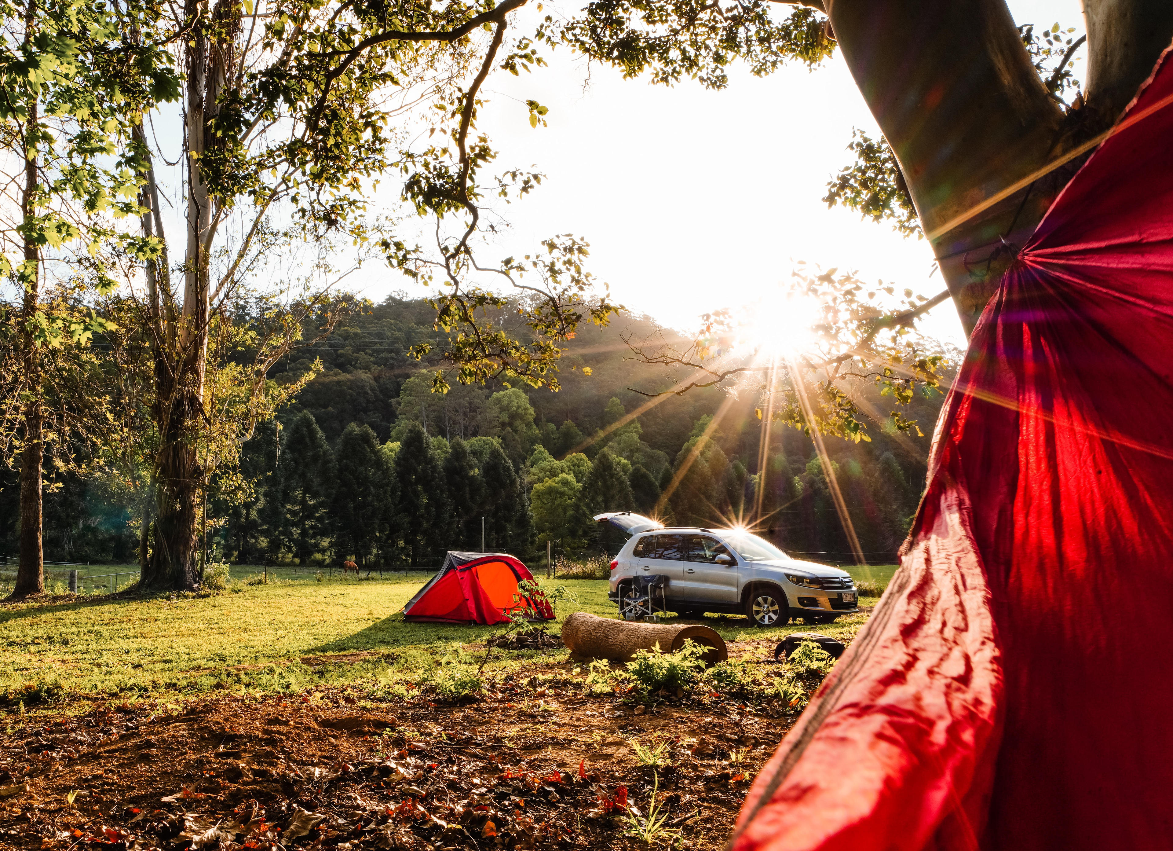 Rowlands Creek Camp Area