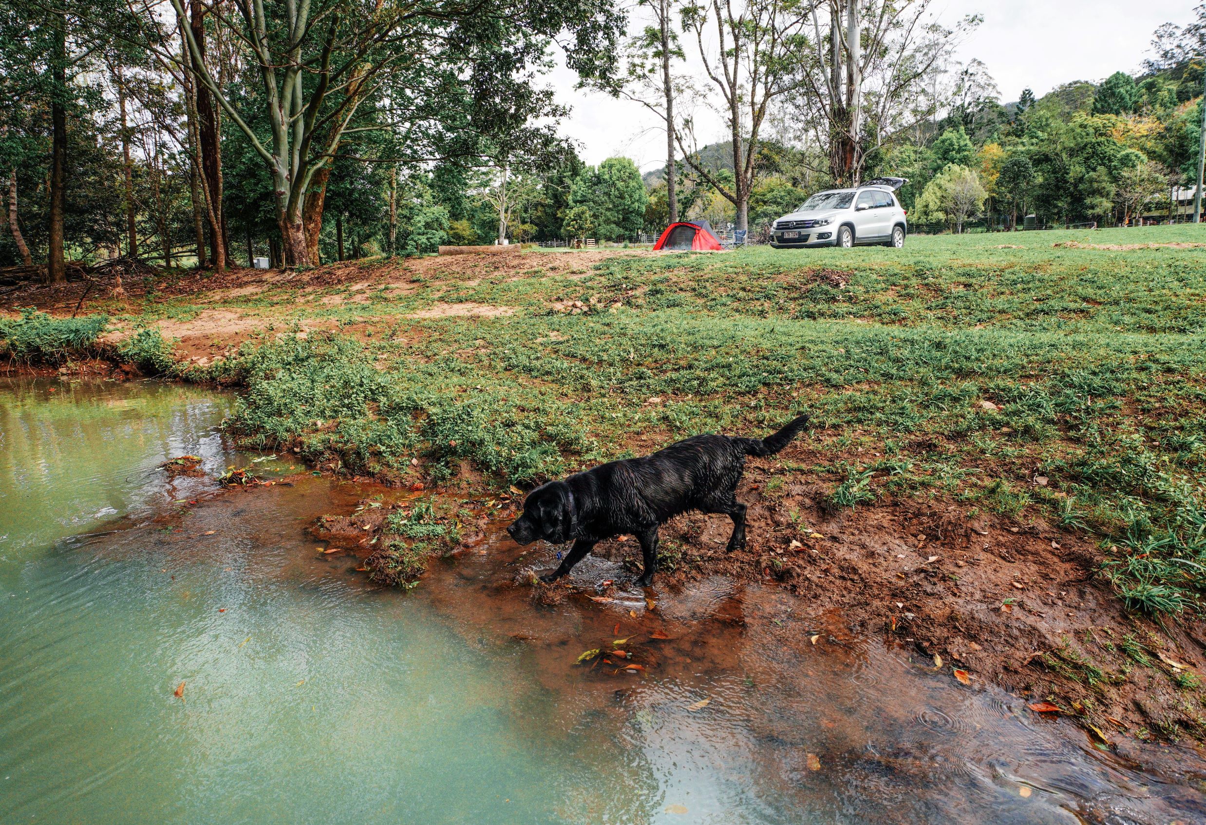 easy access to the creek