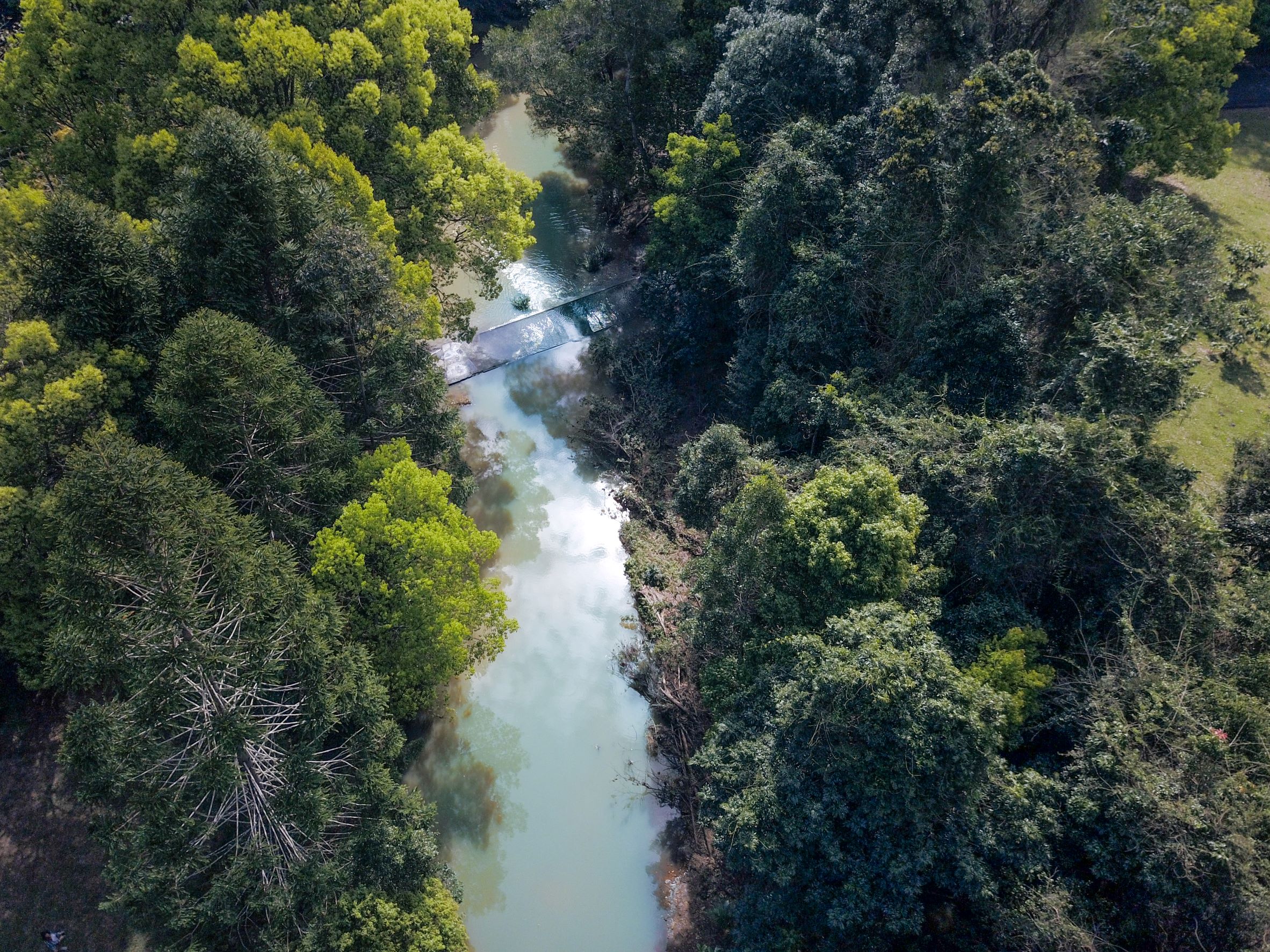 beautiful Rowlands Creek