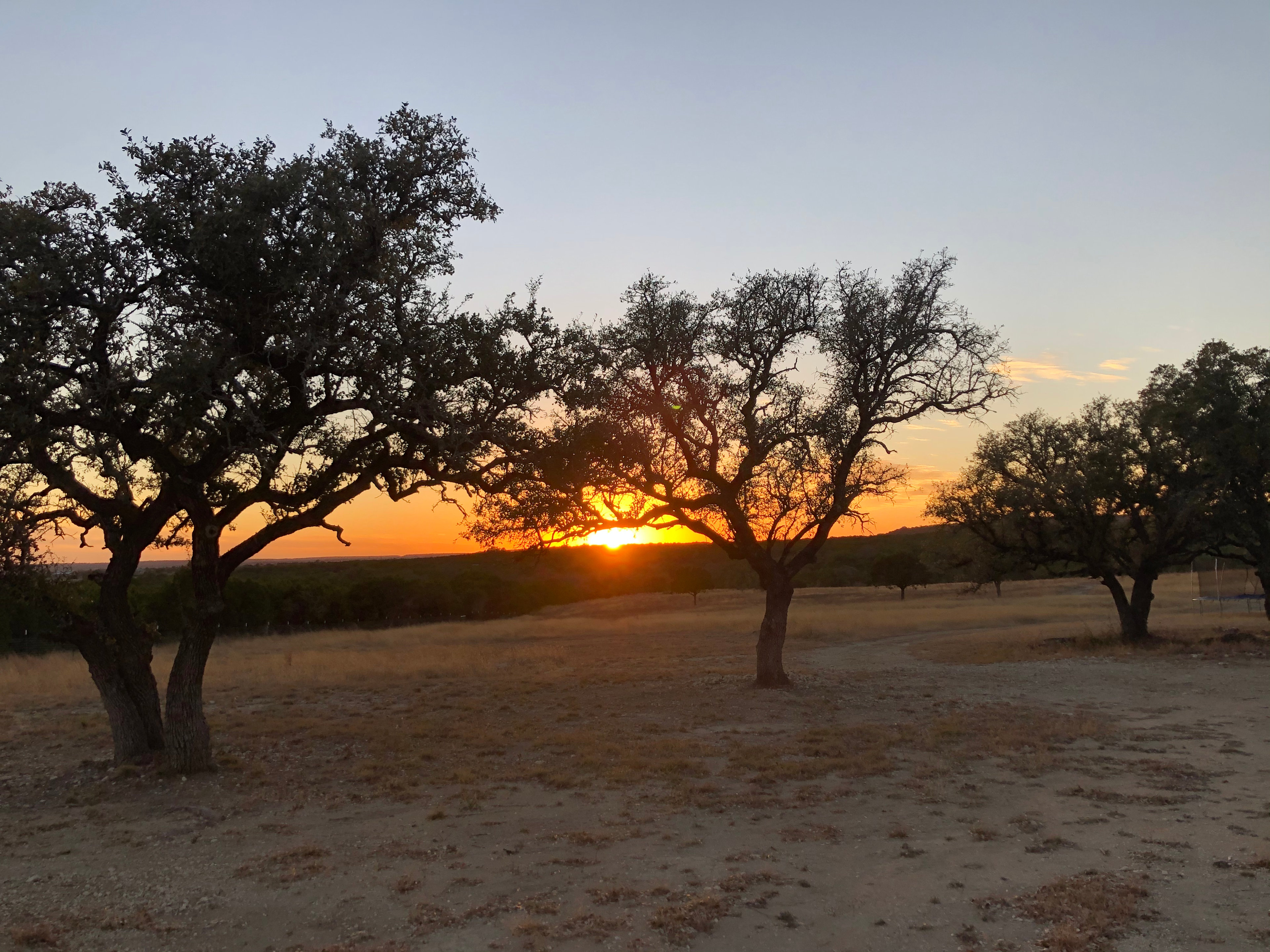 3 Tree Acres
