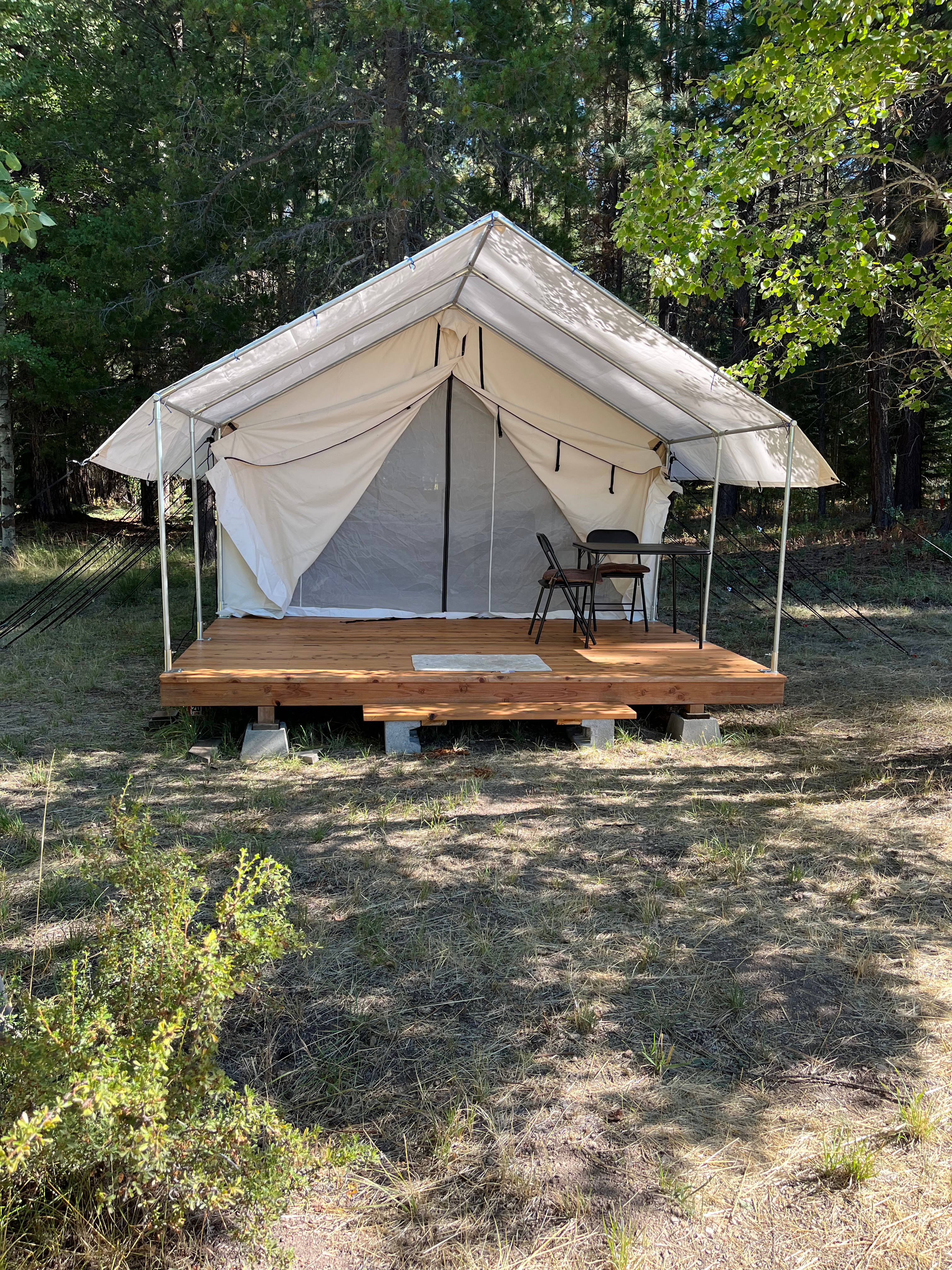 Joyce's Wall Tent