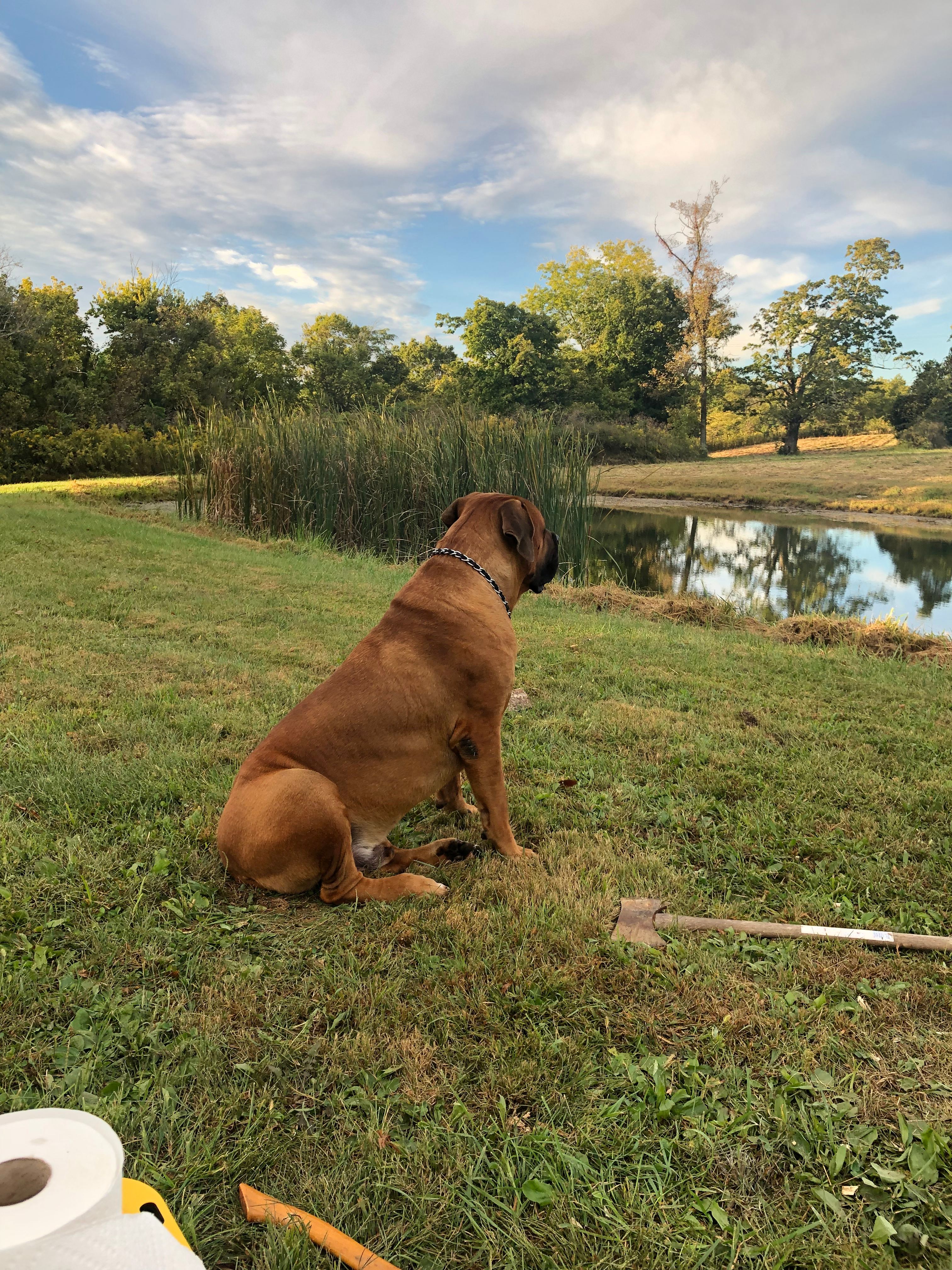 Camping Along the Old Bison Trail