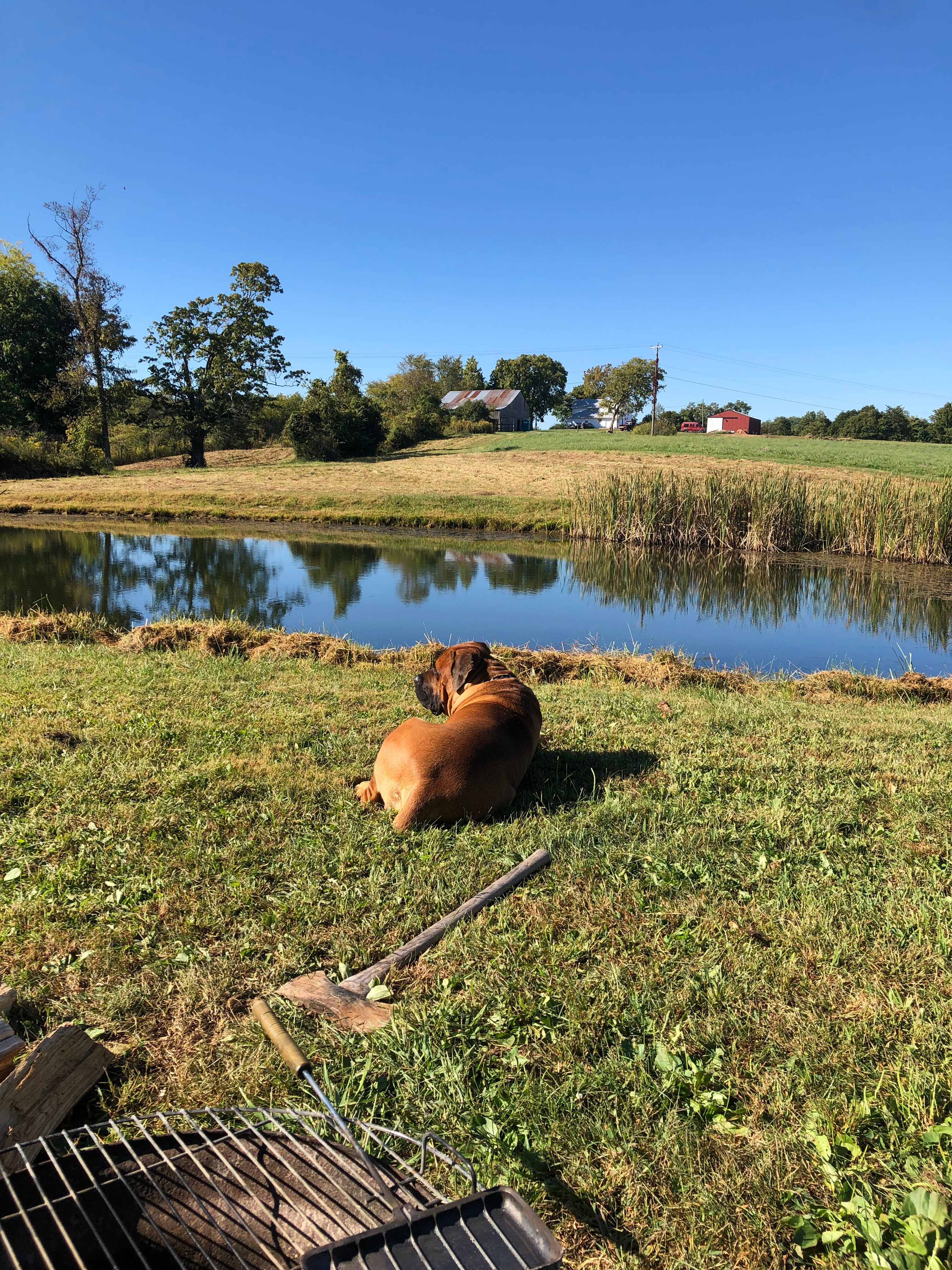 Camping Along the Old Bison Trail