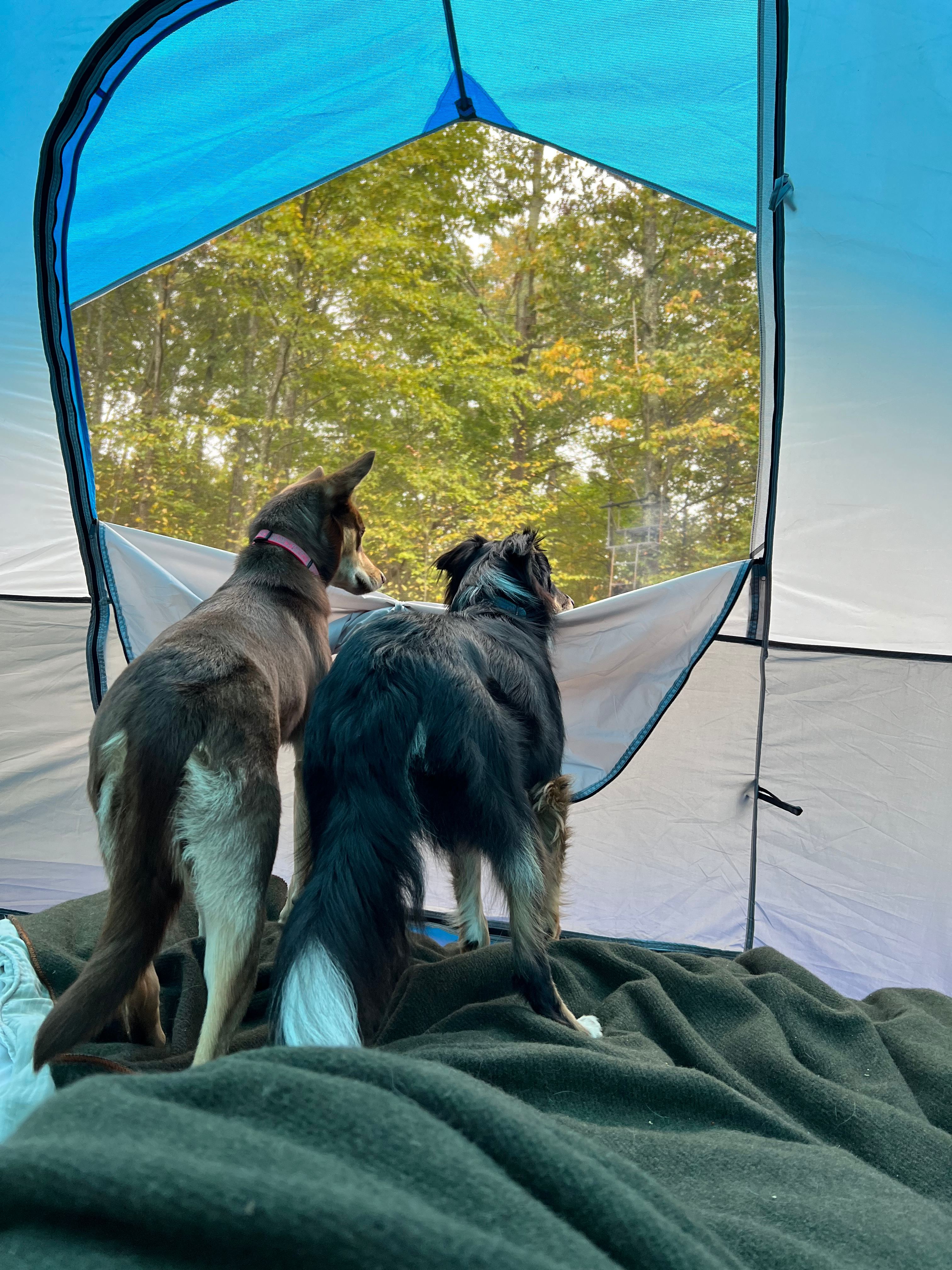 Watching Mom build up the fire while it starts to rain.