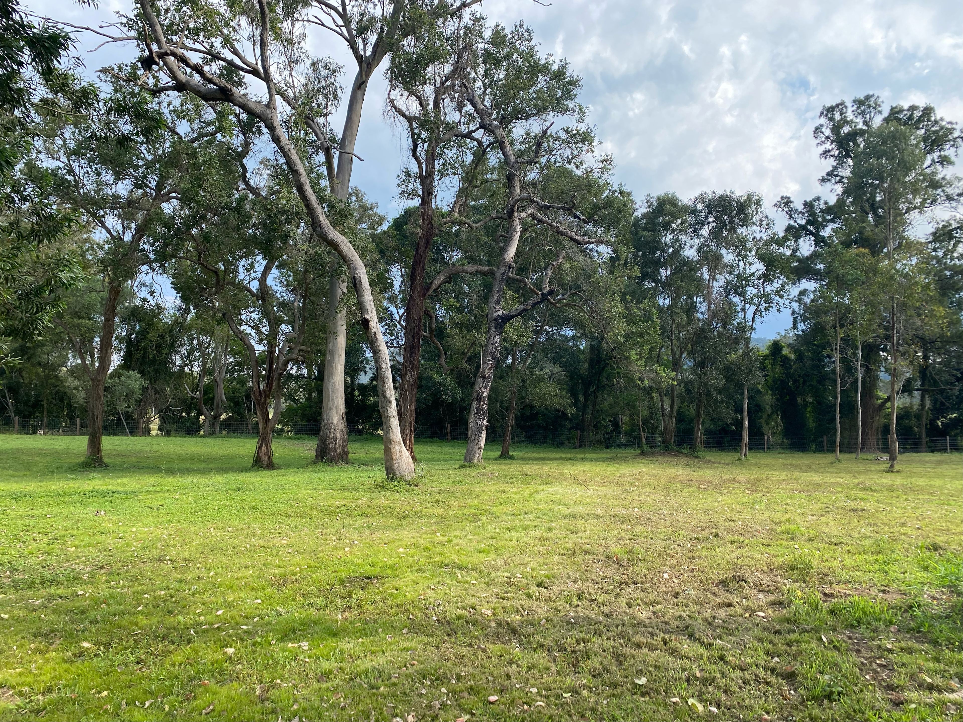 Mountain View Camping