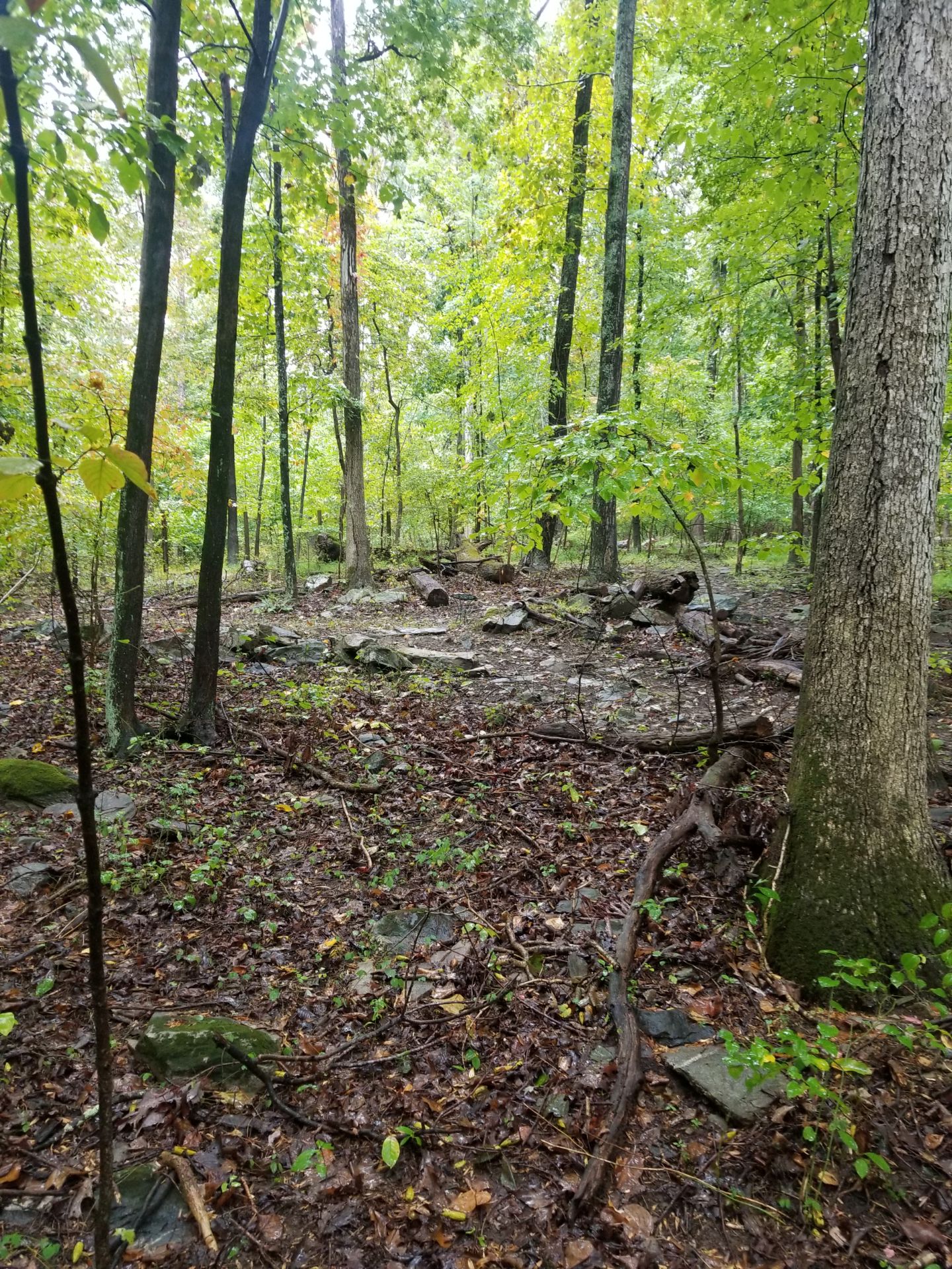 Smith Ridge Harper's Ferry