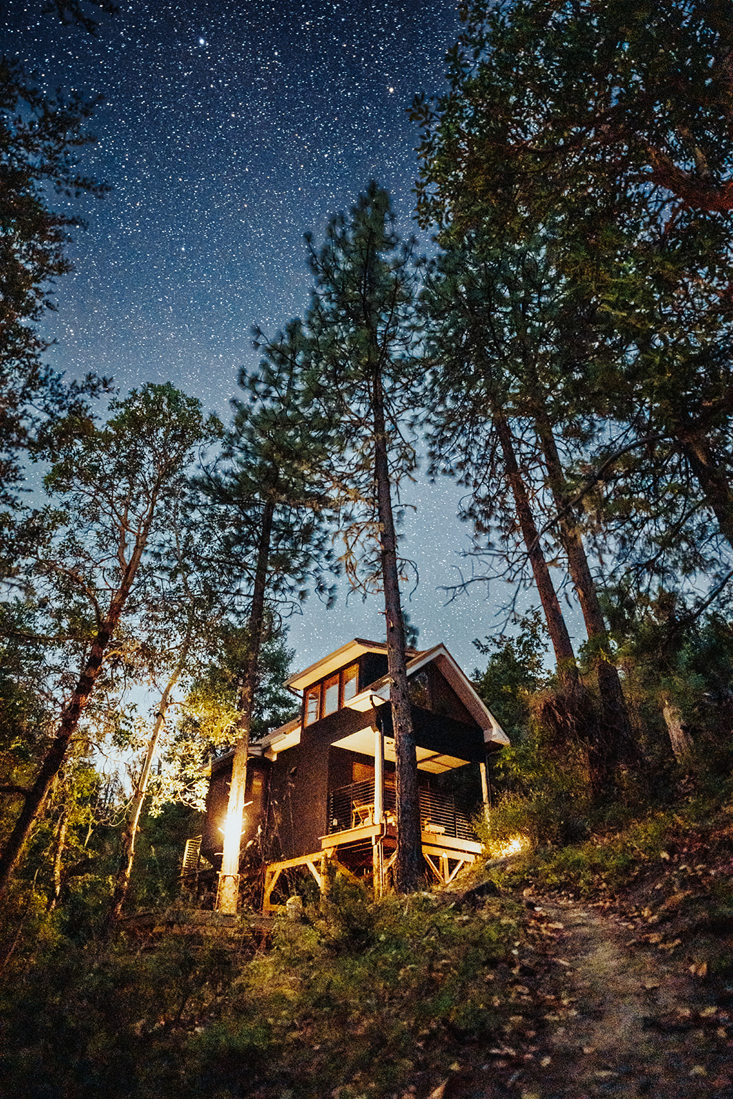 Tree Top Studio