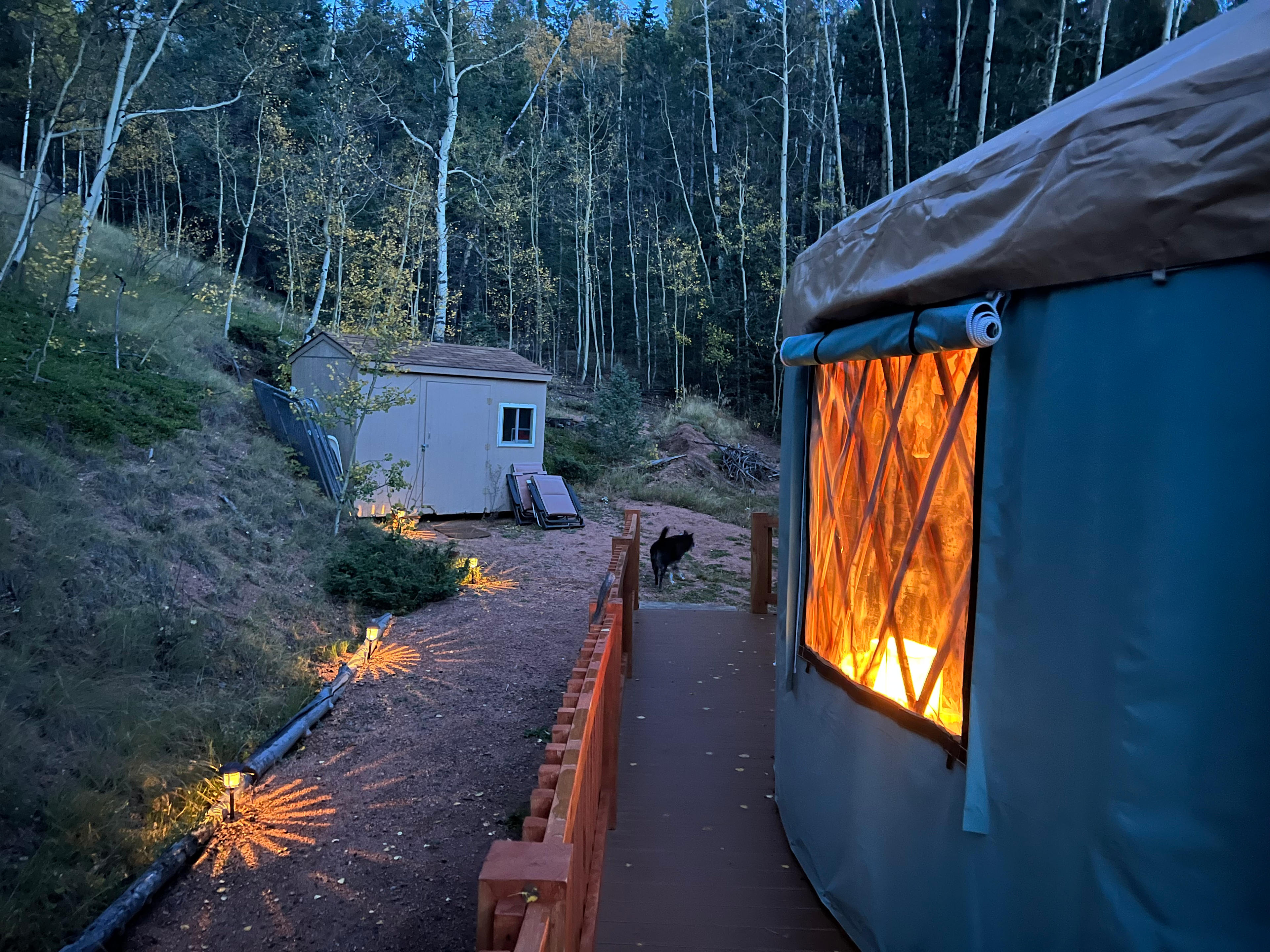The Hummingbird Hut, Forest Hideaway: Luxury Yurt & Bunk Cabin