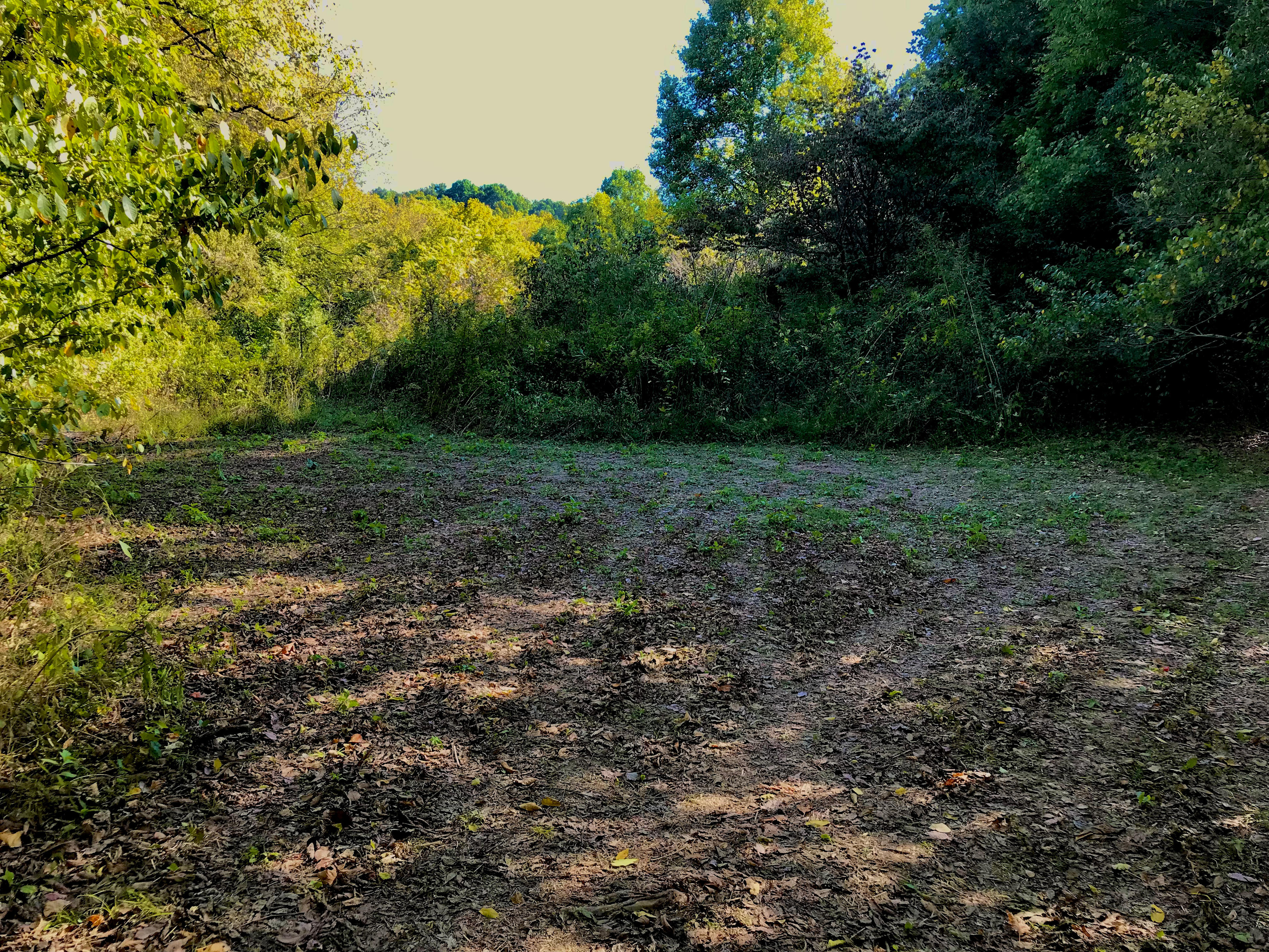Highland Realm Farm