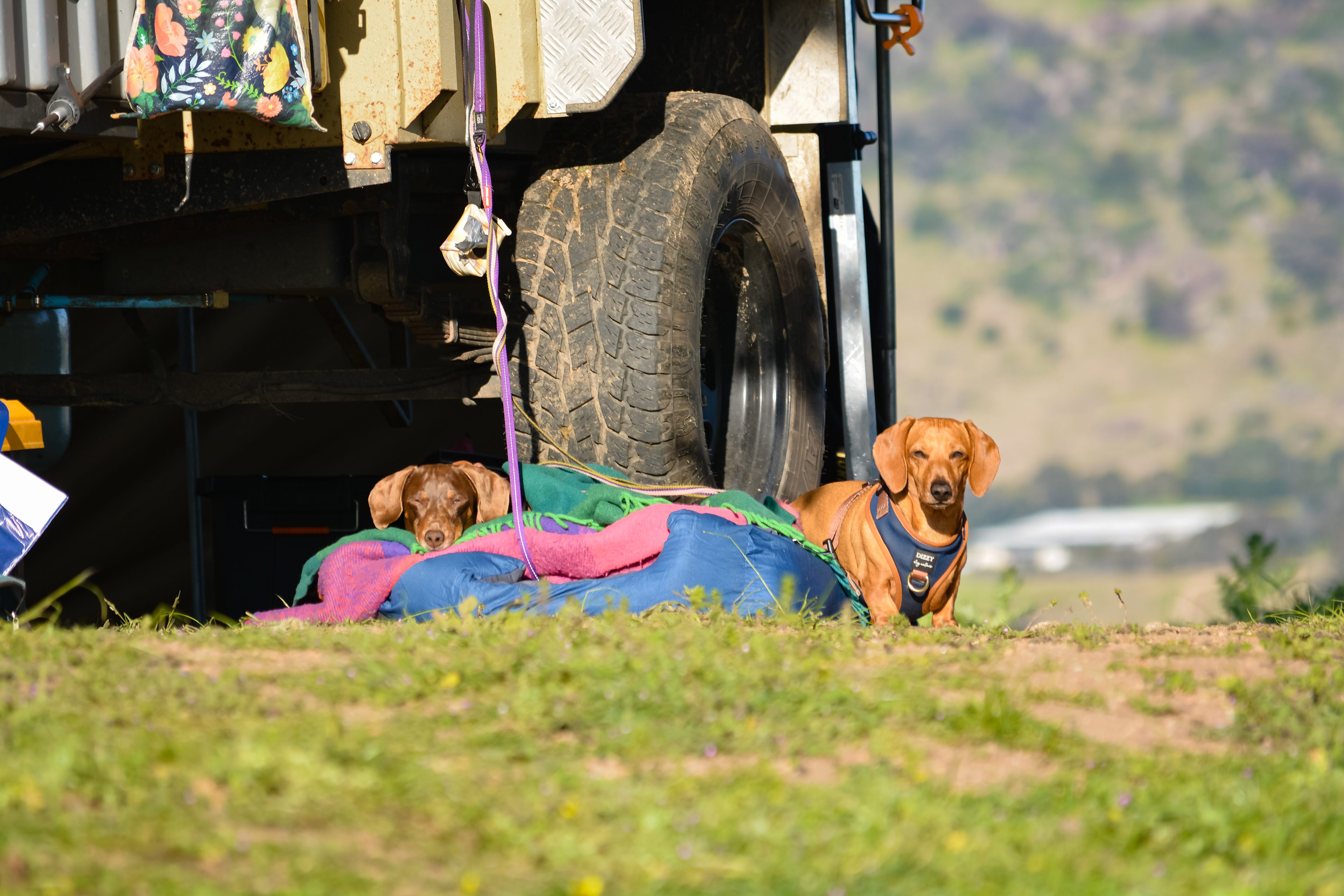 REVELSTONE MOUNTAIN CAMPS